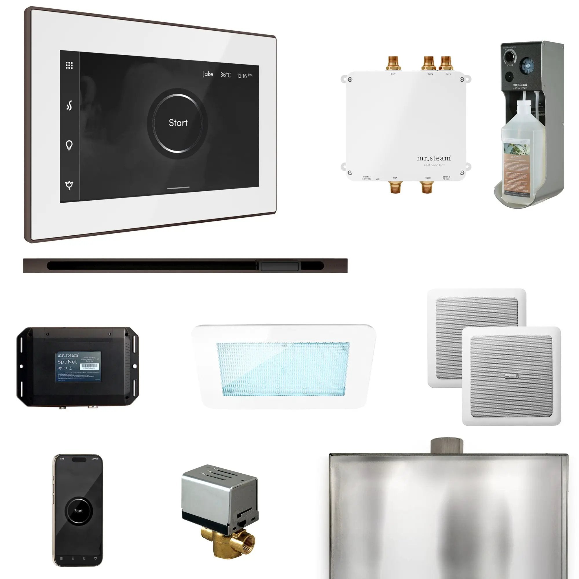 Mr Steam Bliss Steam Shower Control Package with iSteamX Control and Linear Steamhead by Mr Steam