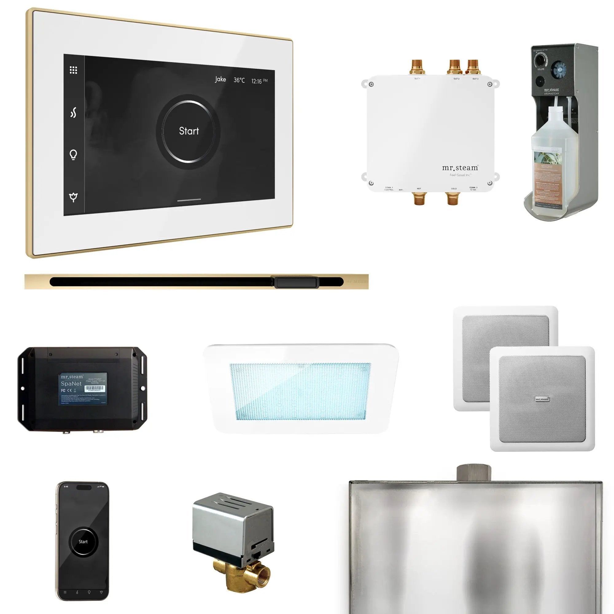 Mr Steam Bliss Steam Shower Control Package with iSteamX Control and Linear Steamhead by Mr Steam