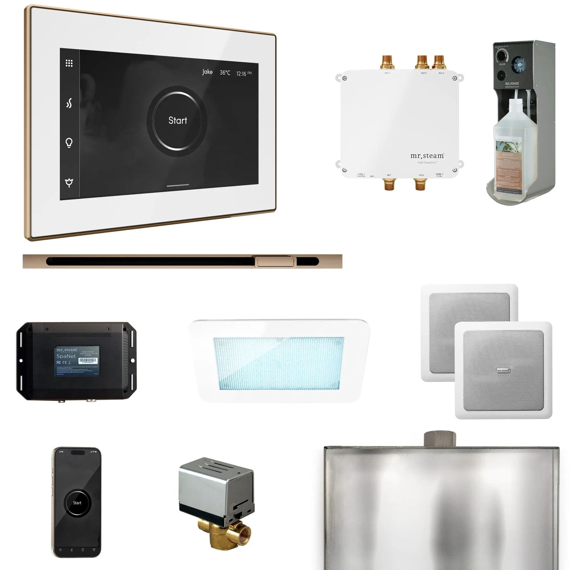 Mr Steam Bliss Steam Shower Control Package with iSteamX Control and Linear Steamhead by Mr Steam