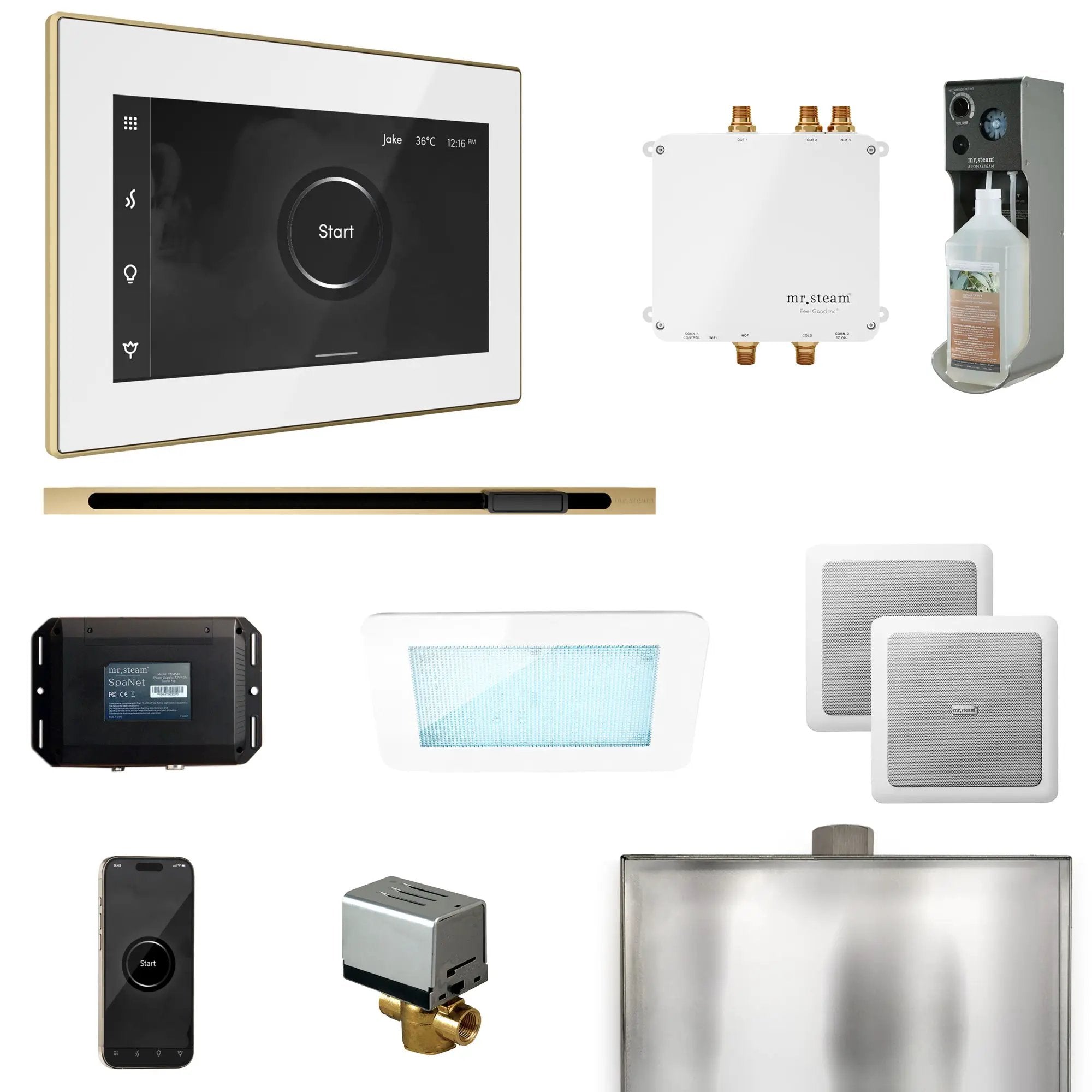Mr Steam Bliss Steam Shower Control Package with iSteamX Control and Linear Steamhead by Mr Steam