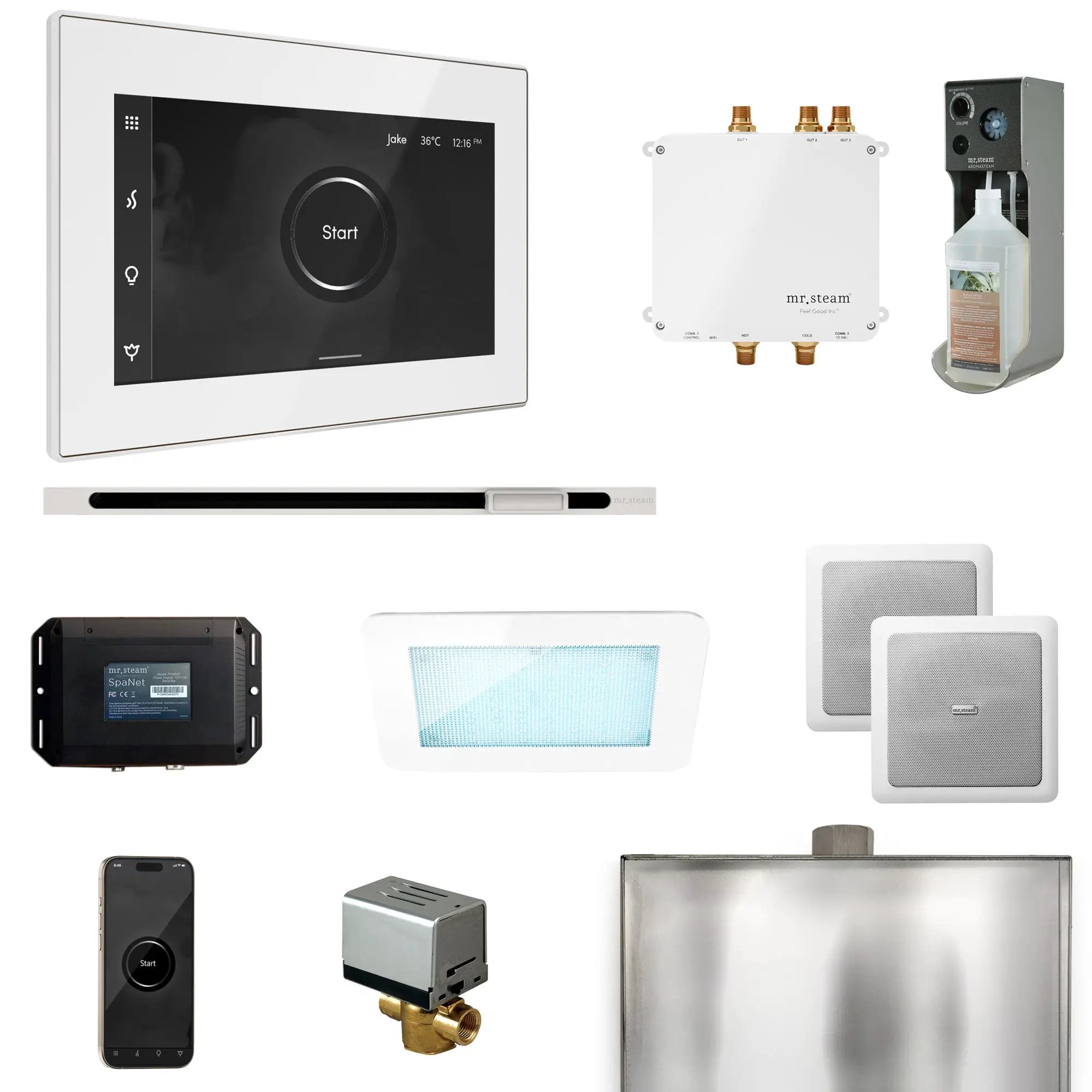 Mr Steam Bliss Steam Shower Control Package with iSteamX Control and Linear Steamhead by Mr Steam