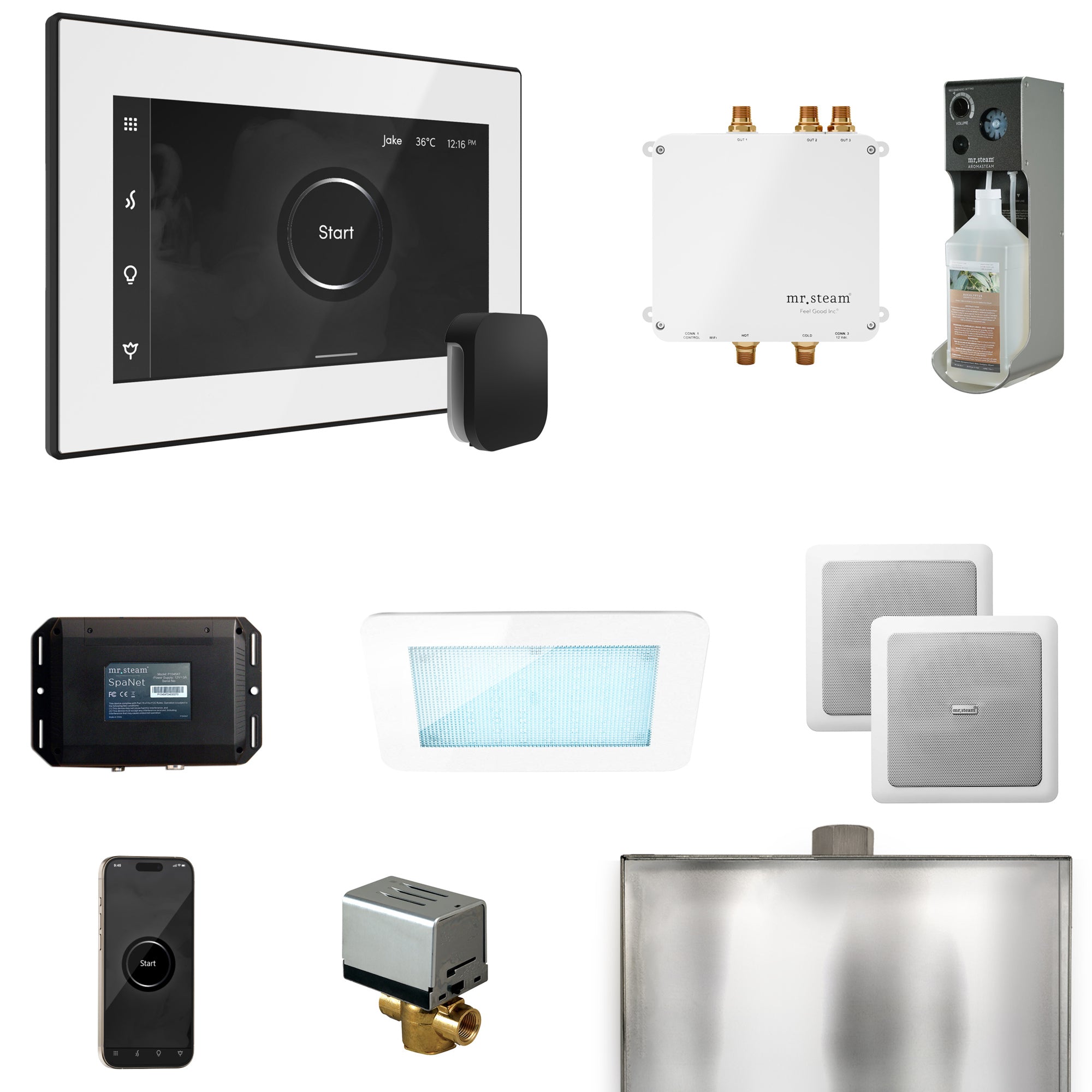 Mr Steam Bliss Steam Shower Control Package with iSteamX Control and Steamhead