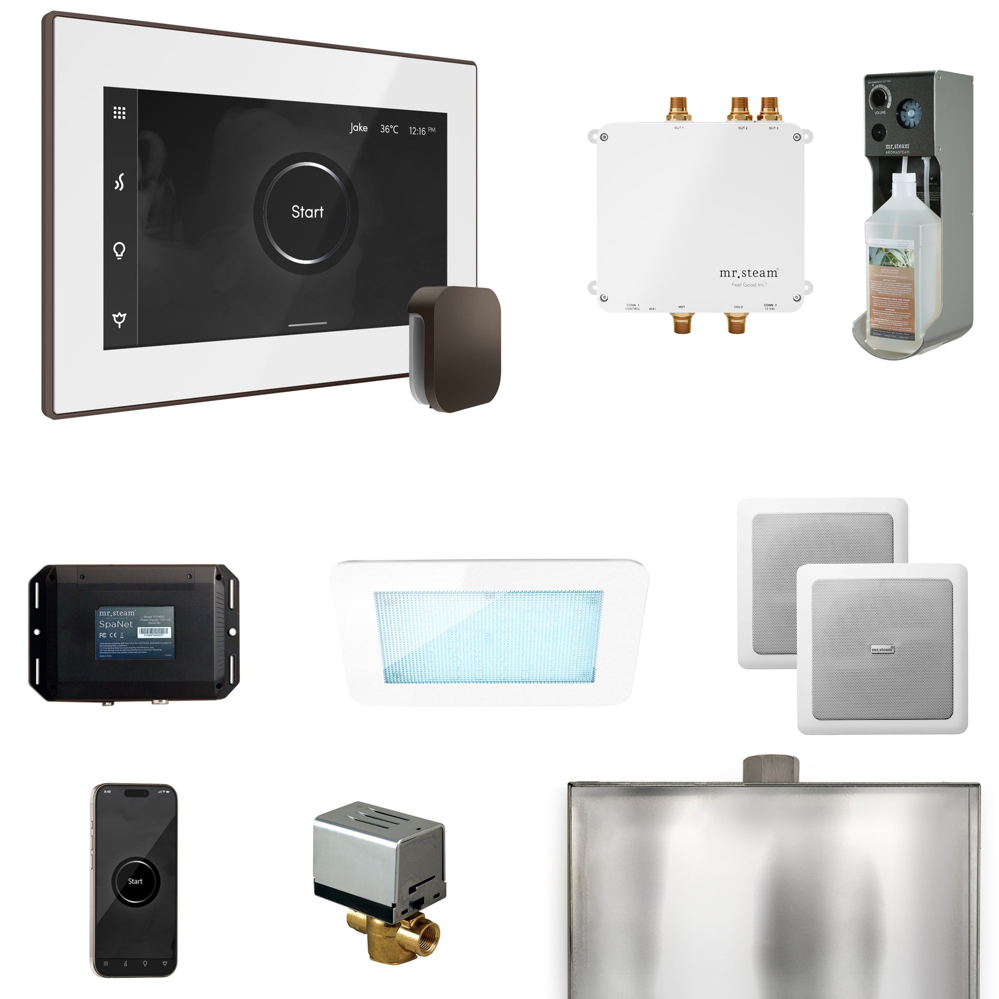 Mr Steam Bliss Steam Shower Control Package with iSteamX Control and Steamhead