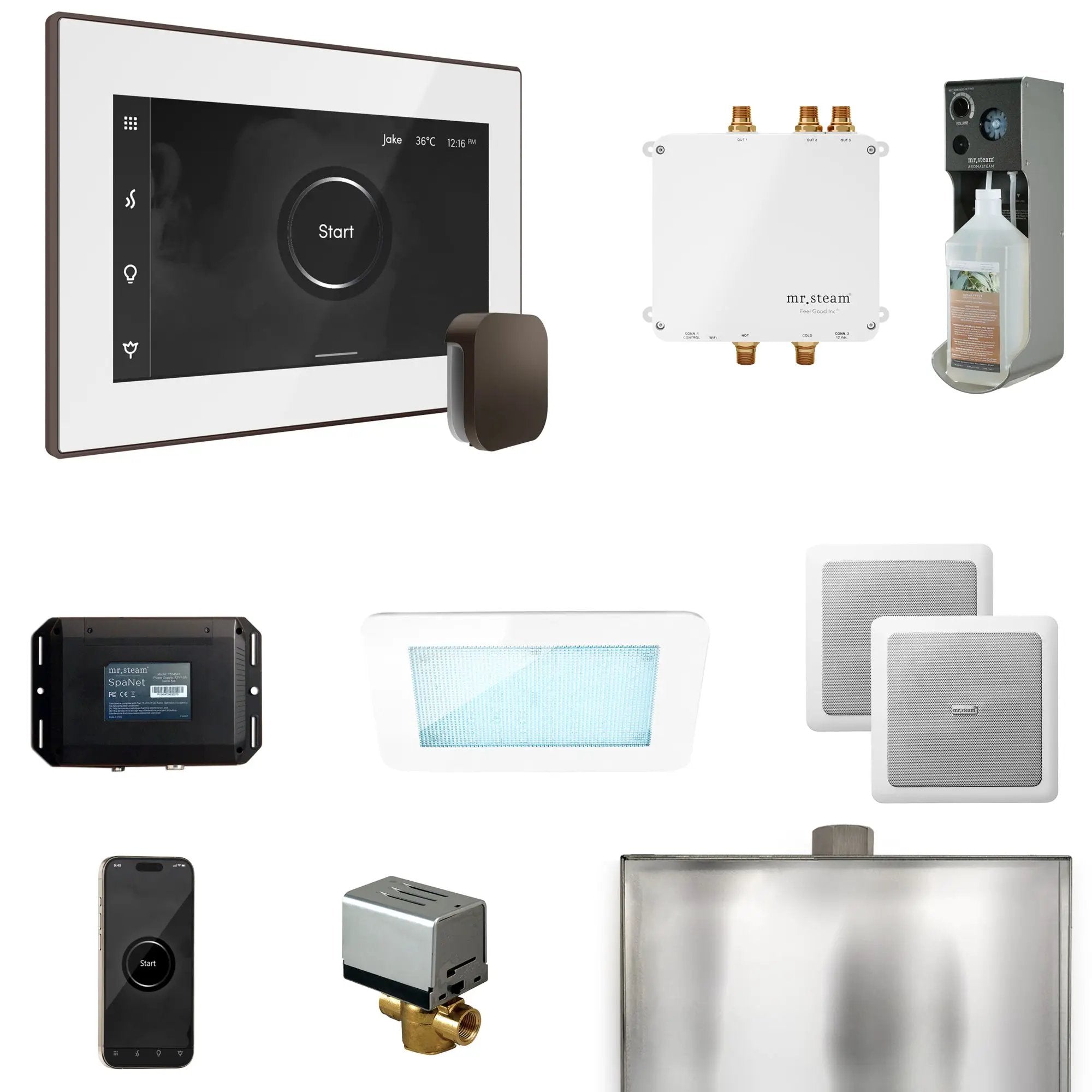 Mr Steam Bliss Steam Shower Control Package with iSteamX Control and Steamhead by Mr Steam
