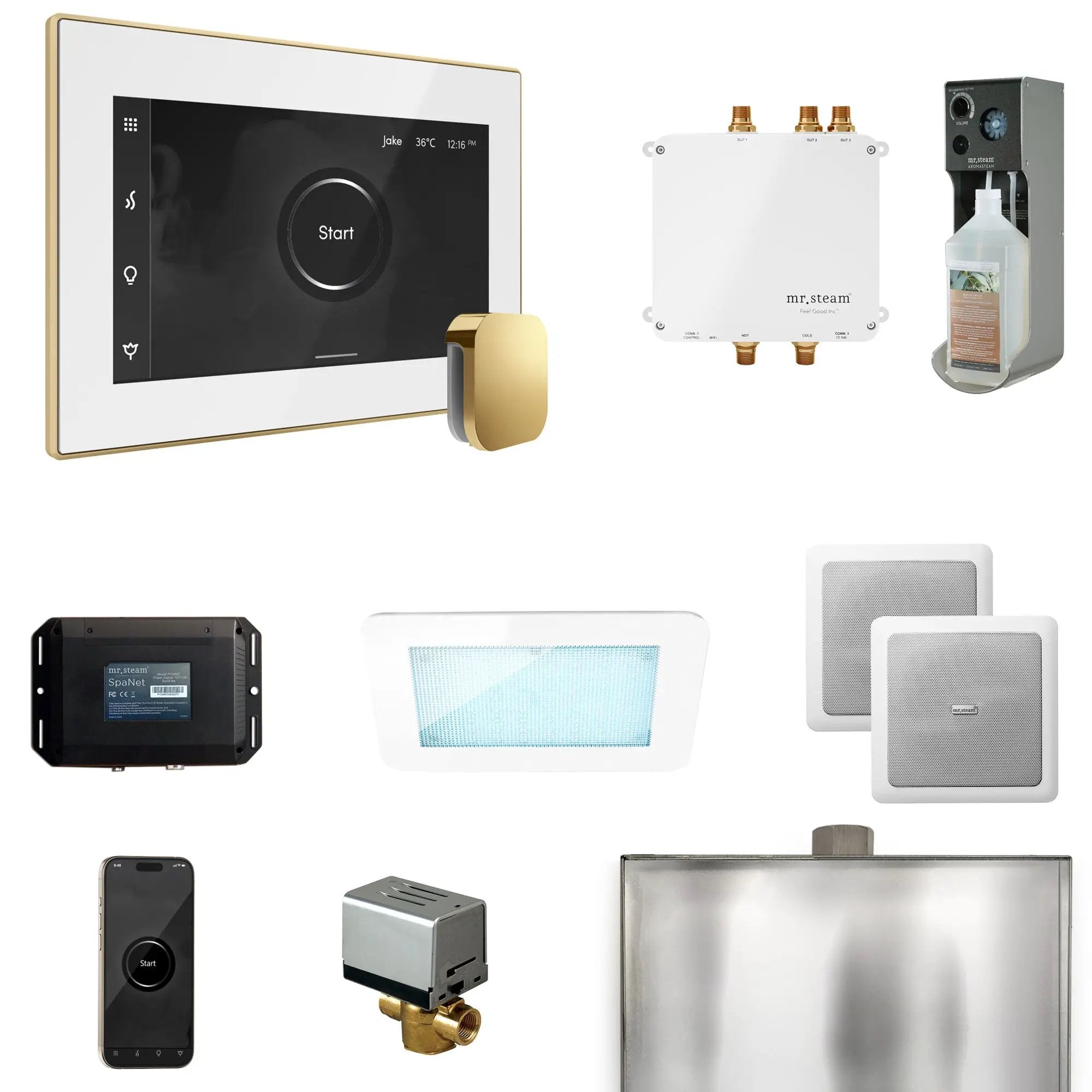 Mr Steam Bliss Steam Shower Control Package with iSteamX Control and Steamhead by Mr Steam