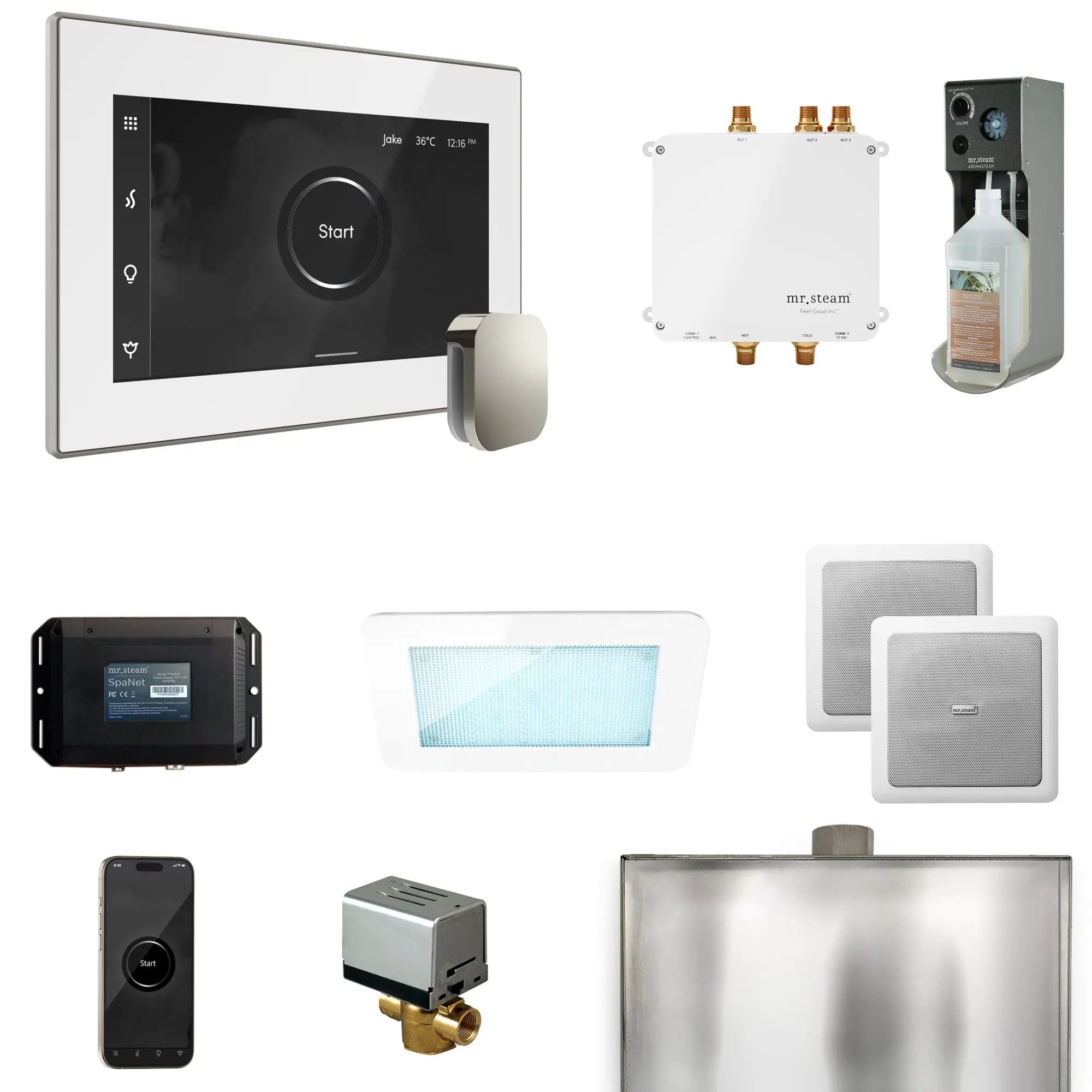 Mr Steam Bliss Steam Shower Control Package with iSteamX Control and Steamhead by Mr Steam