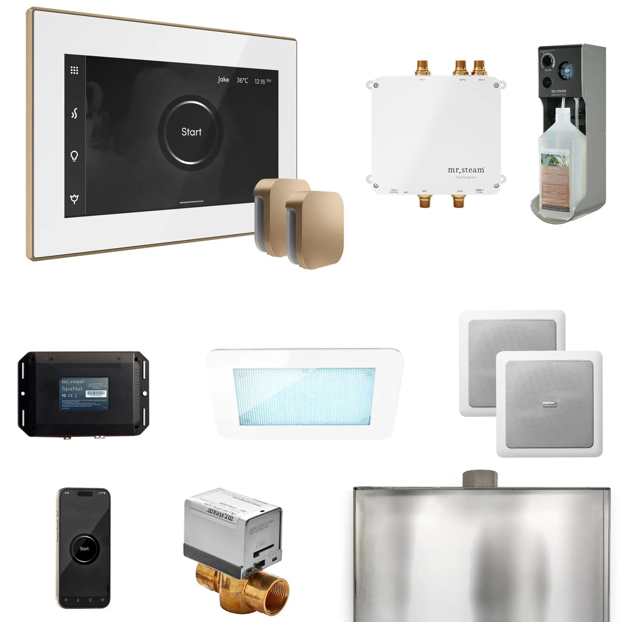 Mr Steam Bliss Max Steam Shower Control Package with iSteamX Control and Steamhead by Mr Steam