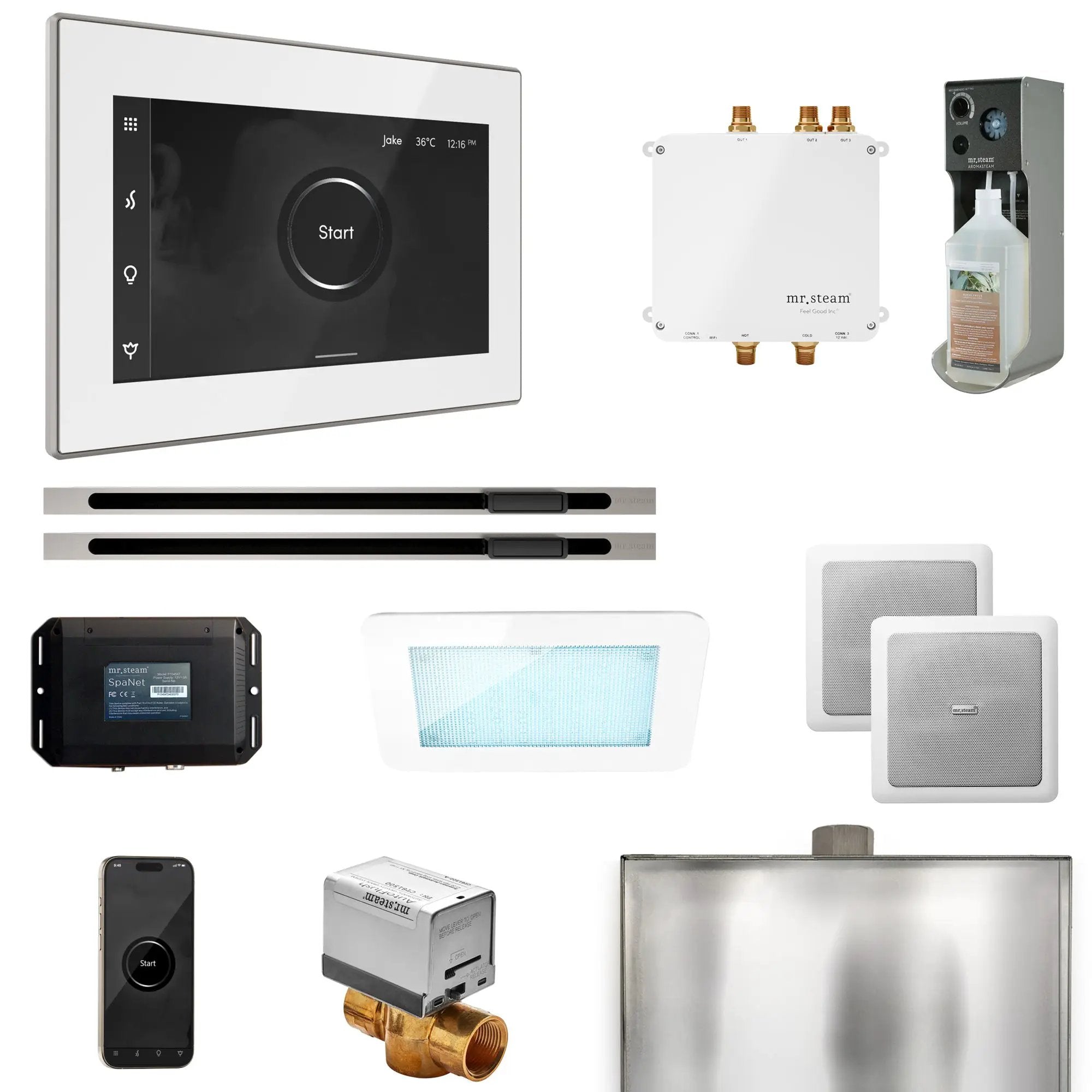 Mr Steam Bliss Max Steam Shower Control Package with iSteamX Control and Linear Steamhead by Mr Steam