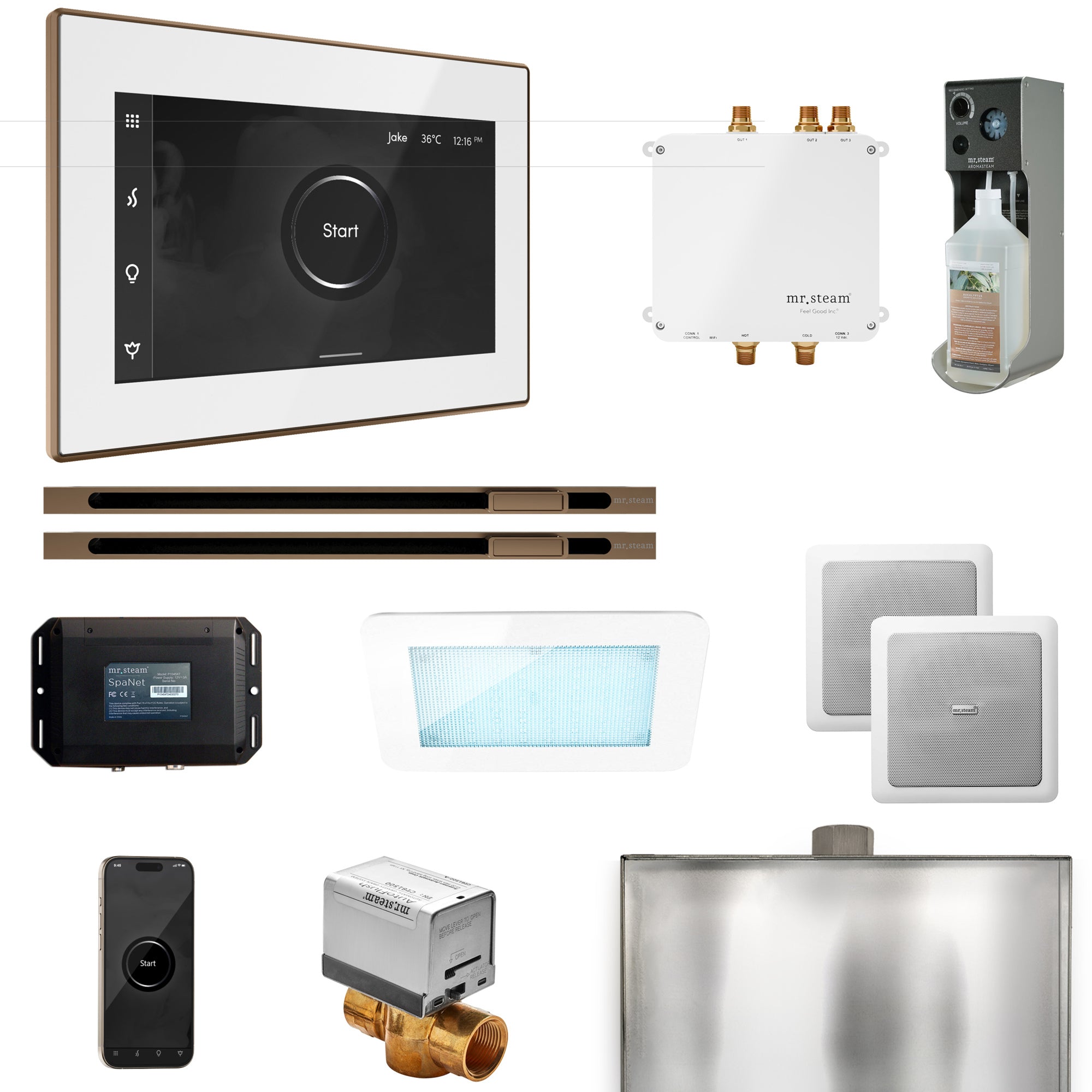 Mr Steam Bliss Max Steam Shower Control Package with iSteamX Control and Linear Steamhead