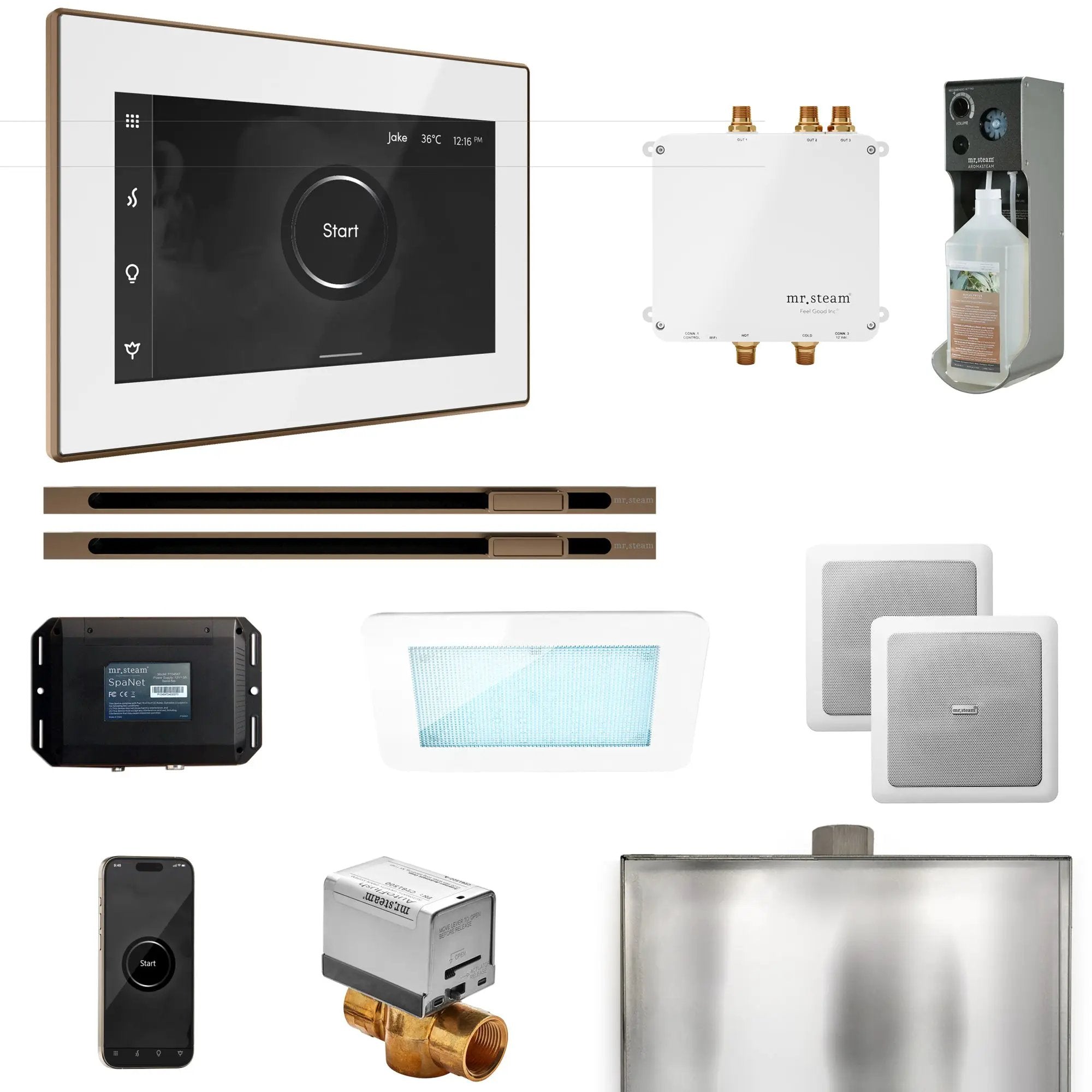 Mr Steam Bliss Max Steam Shower Control Package with iSteamX Control and Linear Steamhead by Mr Steam