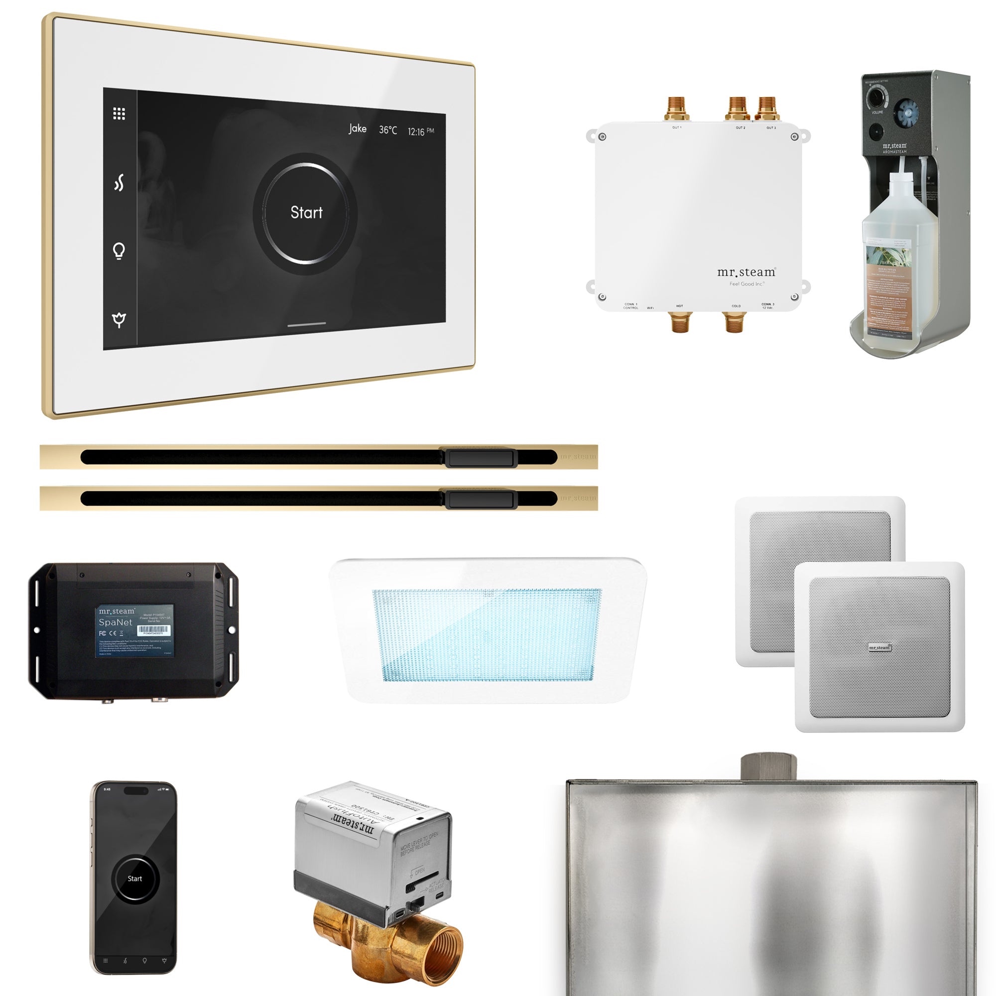 Mr Steam Bliss Max Steam Shower Control Package with iSteamX Control and Linear Steamhead