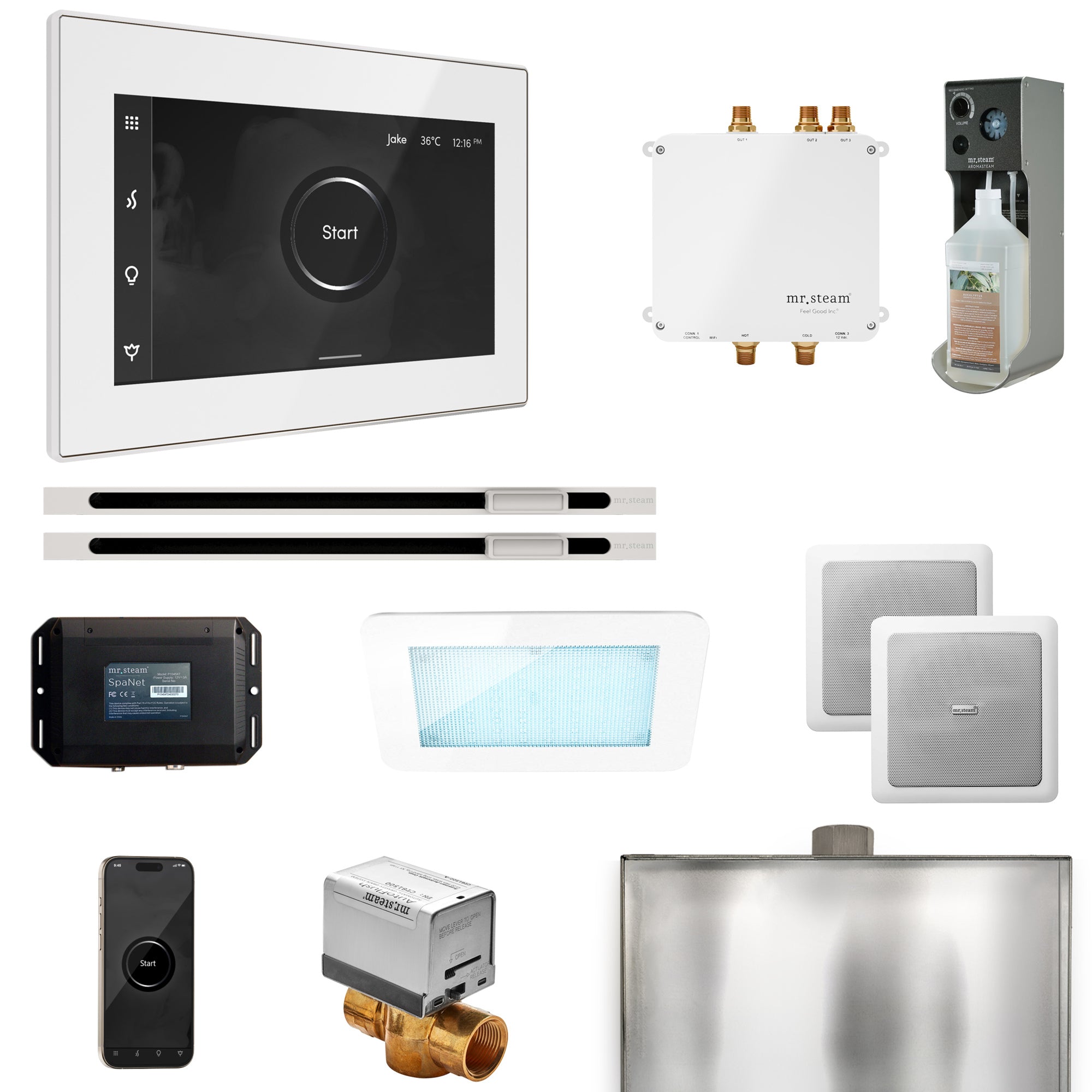 Mr Steam Bliss Max Steam Shower Control Package with iSteamX Control and Linear Steamhead