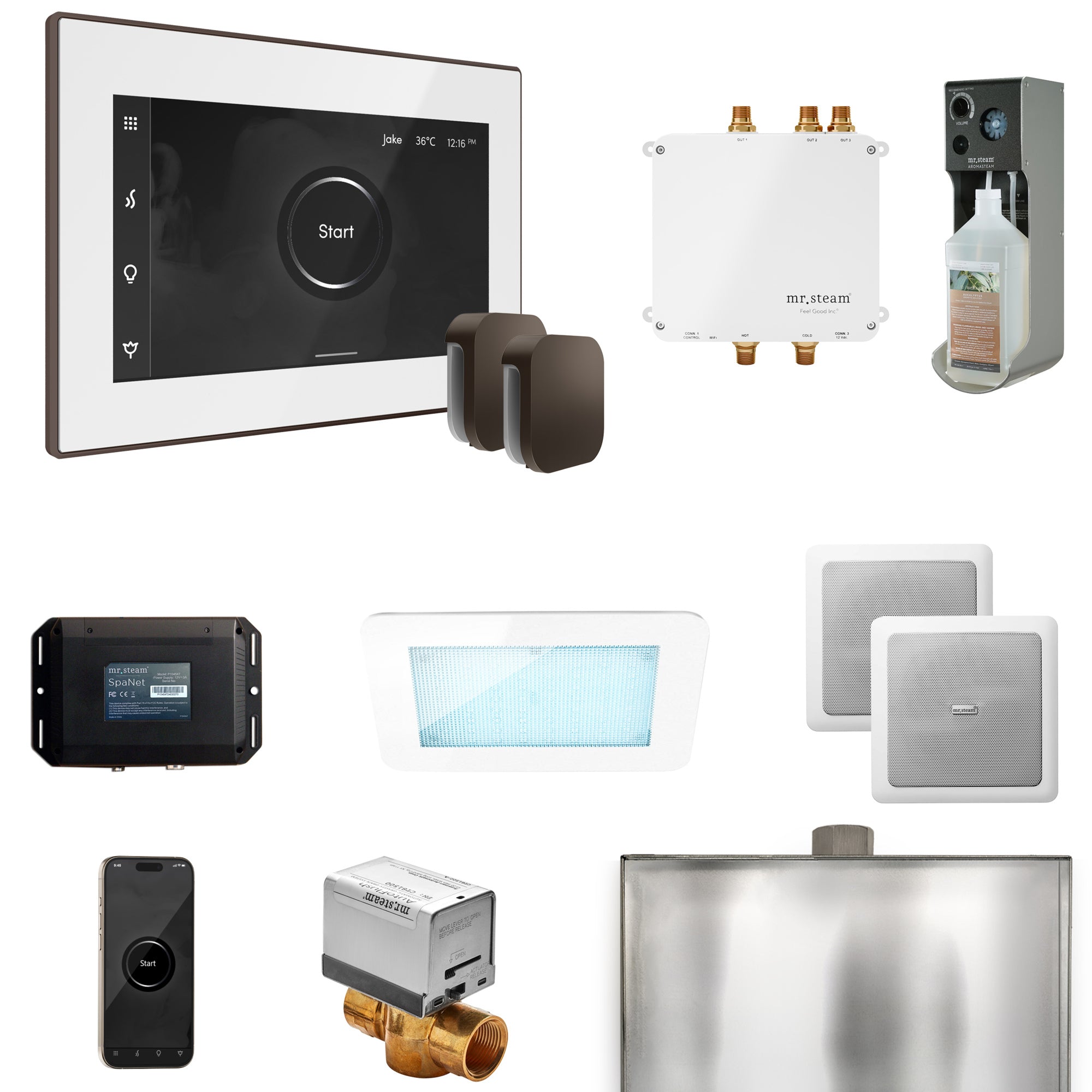 Mr Steam Bliss Max Steam Shower Control Package with iSteamX Control and Steamhead