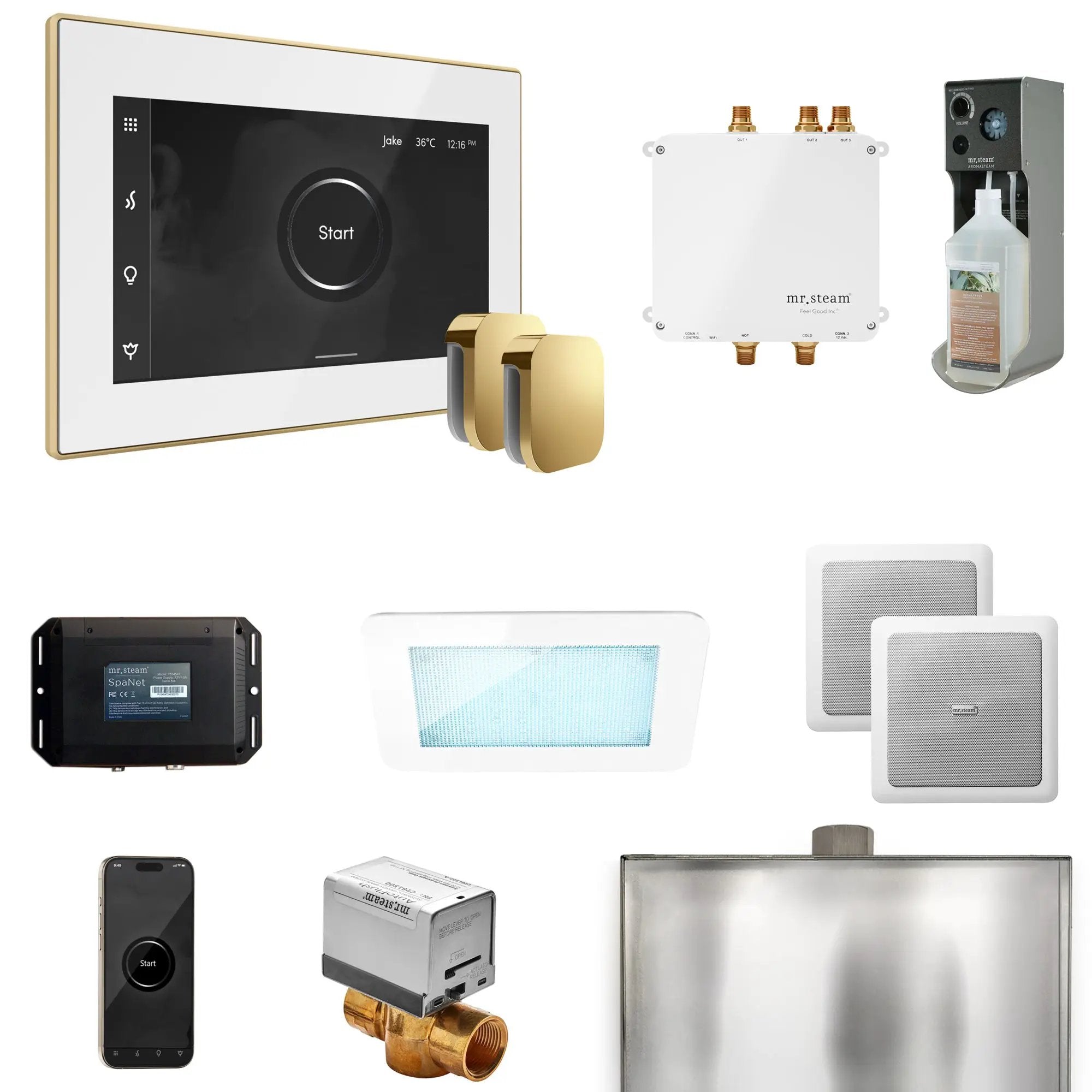 Mr Steam Bliss Max Steam Shower Control Package with iSteamX Control and Steamhead by Mr Steam