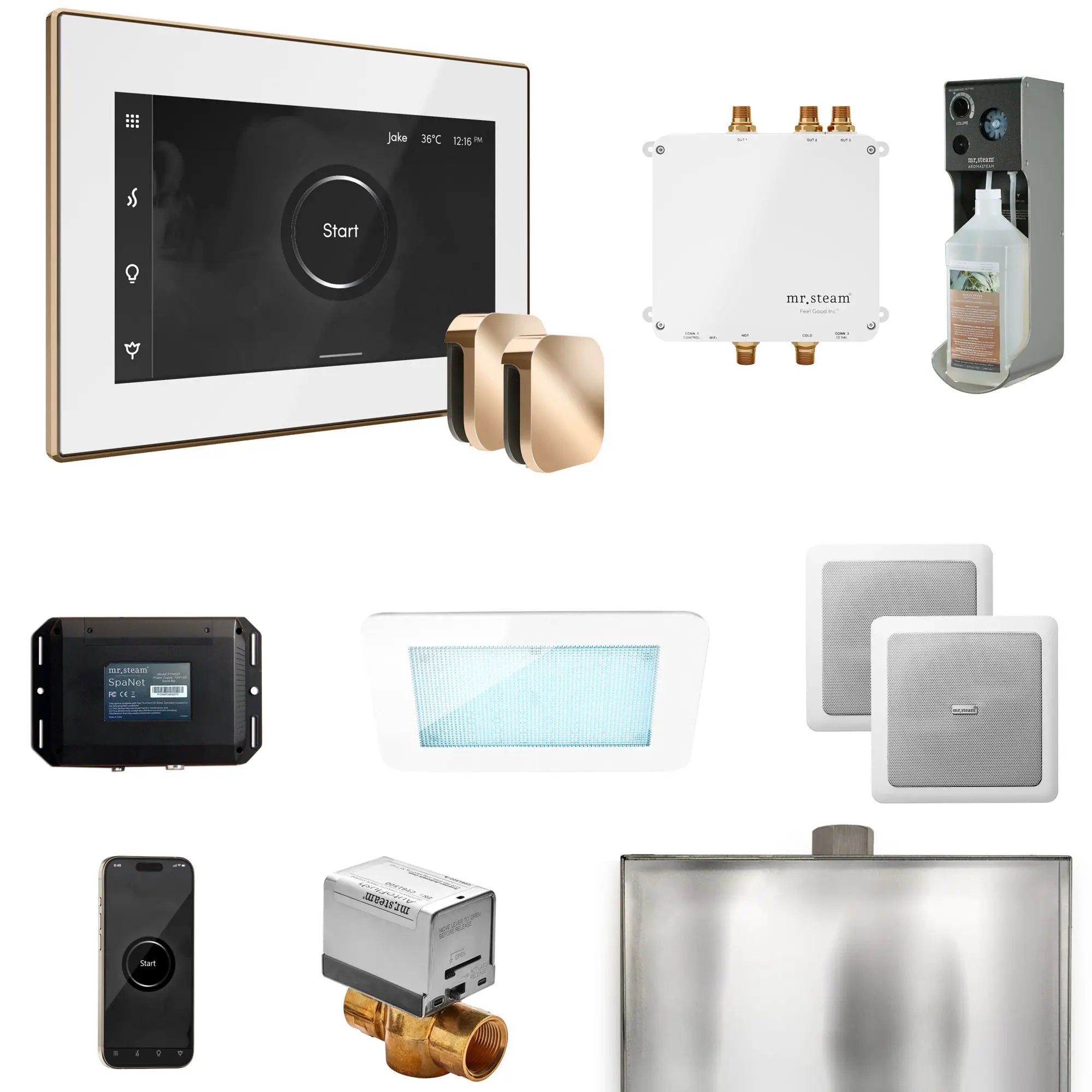 Mr Steam Bliss Max Steam Shower Control Package with iSteamX Control and Steamhead by Mr Steam