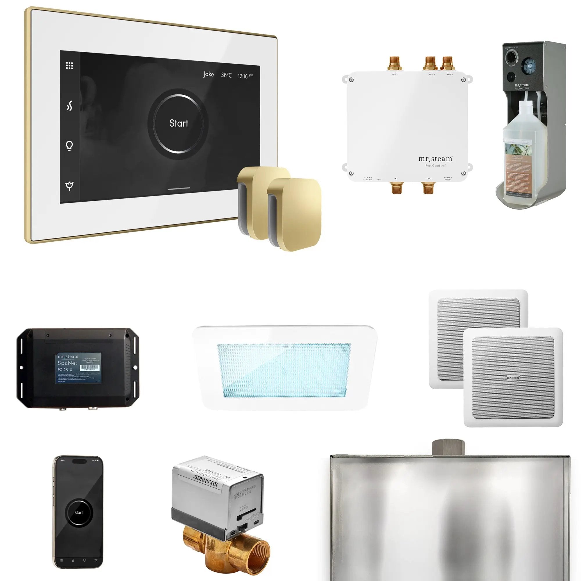 Mr Steam Bliss Max Steam Shower Control Package with iSteamX Control and Steamhead by Mr Steam