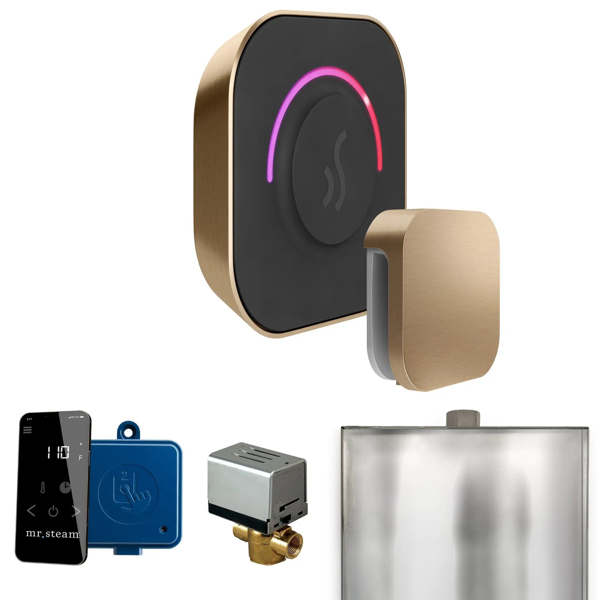 Mr Steam ButlerTouch Steam Shower Control Package with TempoTouch Control and Steamhead by Mr Steam