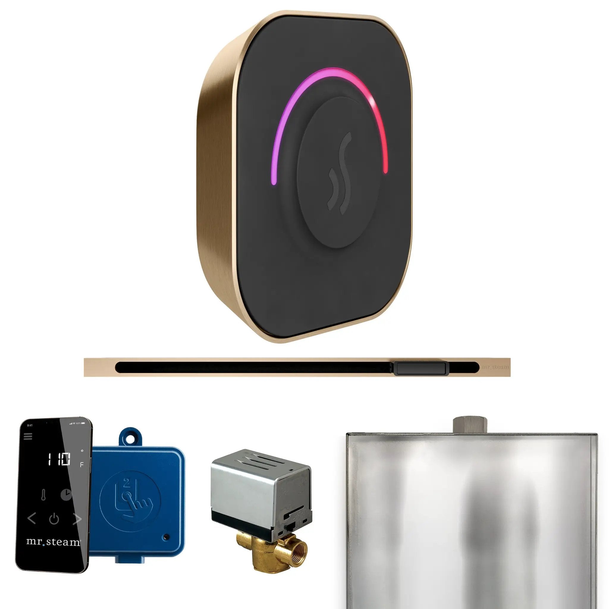 Mr Steam ButlerTouch Steam Shower Control Package with TempoTouch Control and Linear Steamhead by Mr Steam