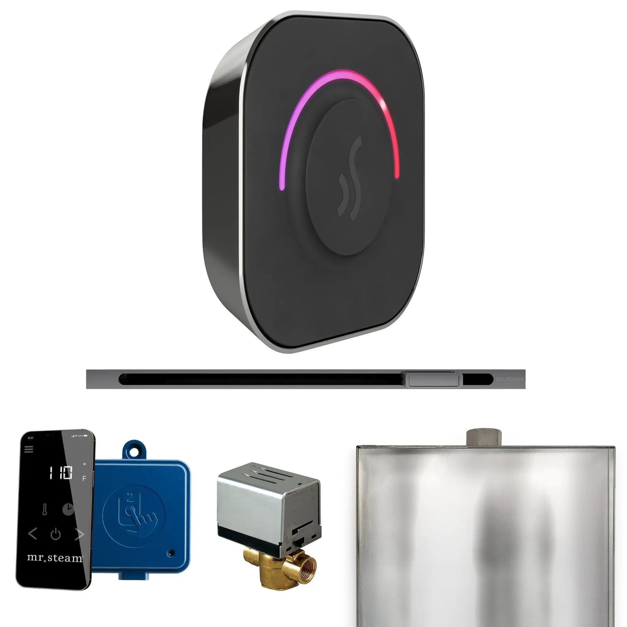 Mr Steam ButlerTouch Steam Shower Control Package with TempoTouch Control and Linear Steamhead by Mr Steam