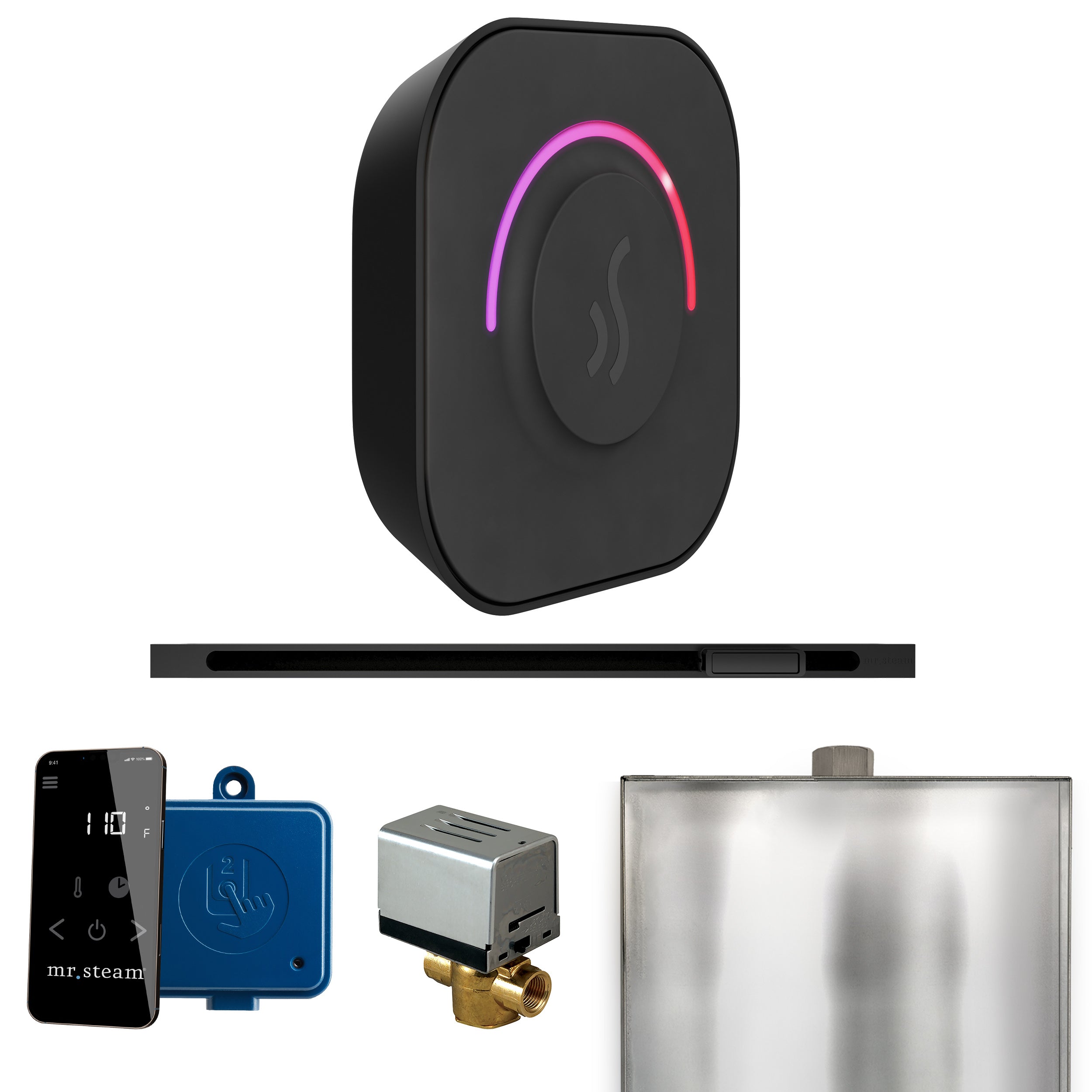 Mr Steam ButlerTouch Steam Shower Control Package with TempoTouch Control and Linear Steamhead