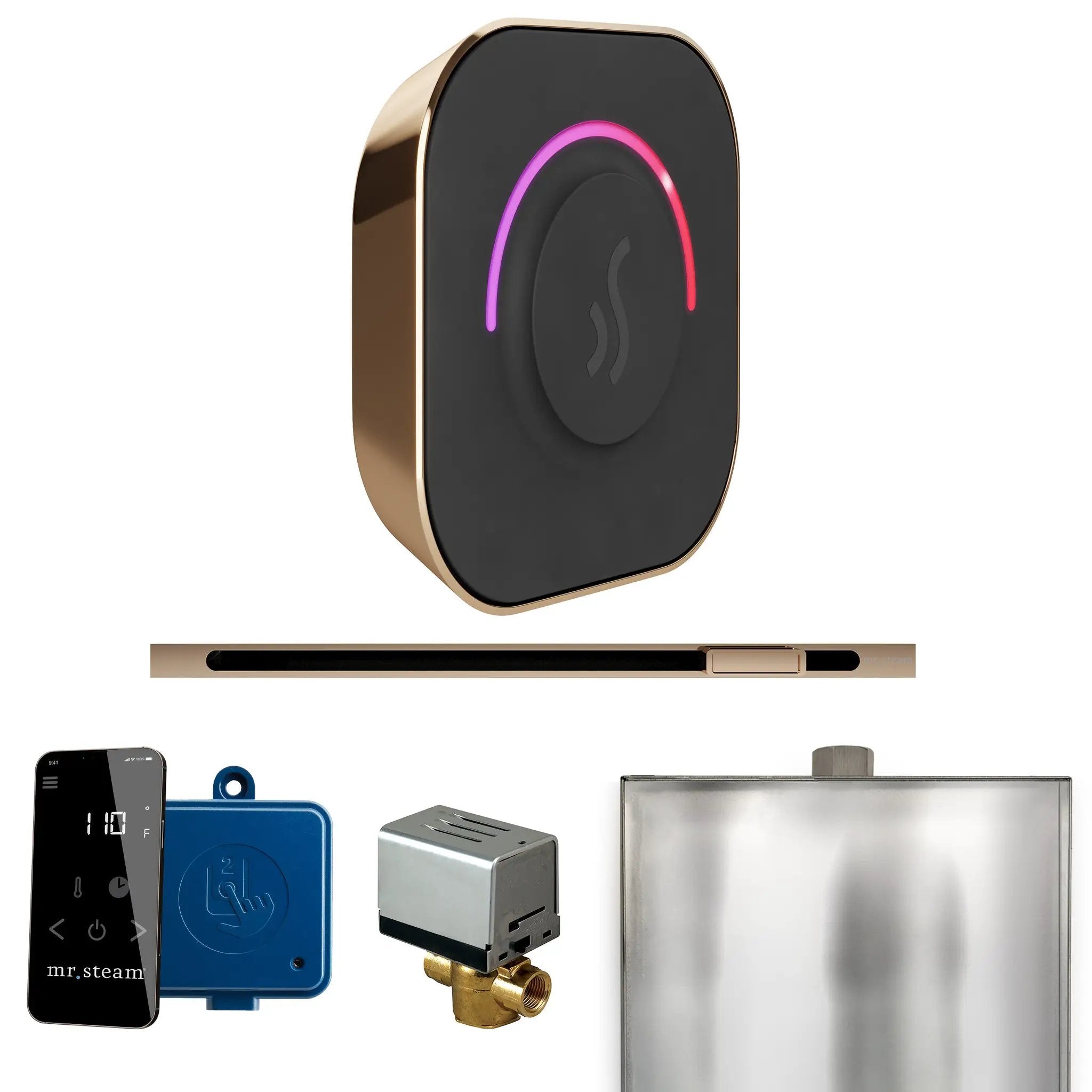 Mr Steam ButlerTouch Steam Shower Control Package with TempoTouch Control and Linear Steamhead by Mr Steam