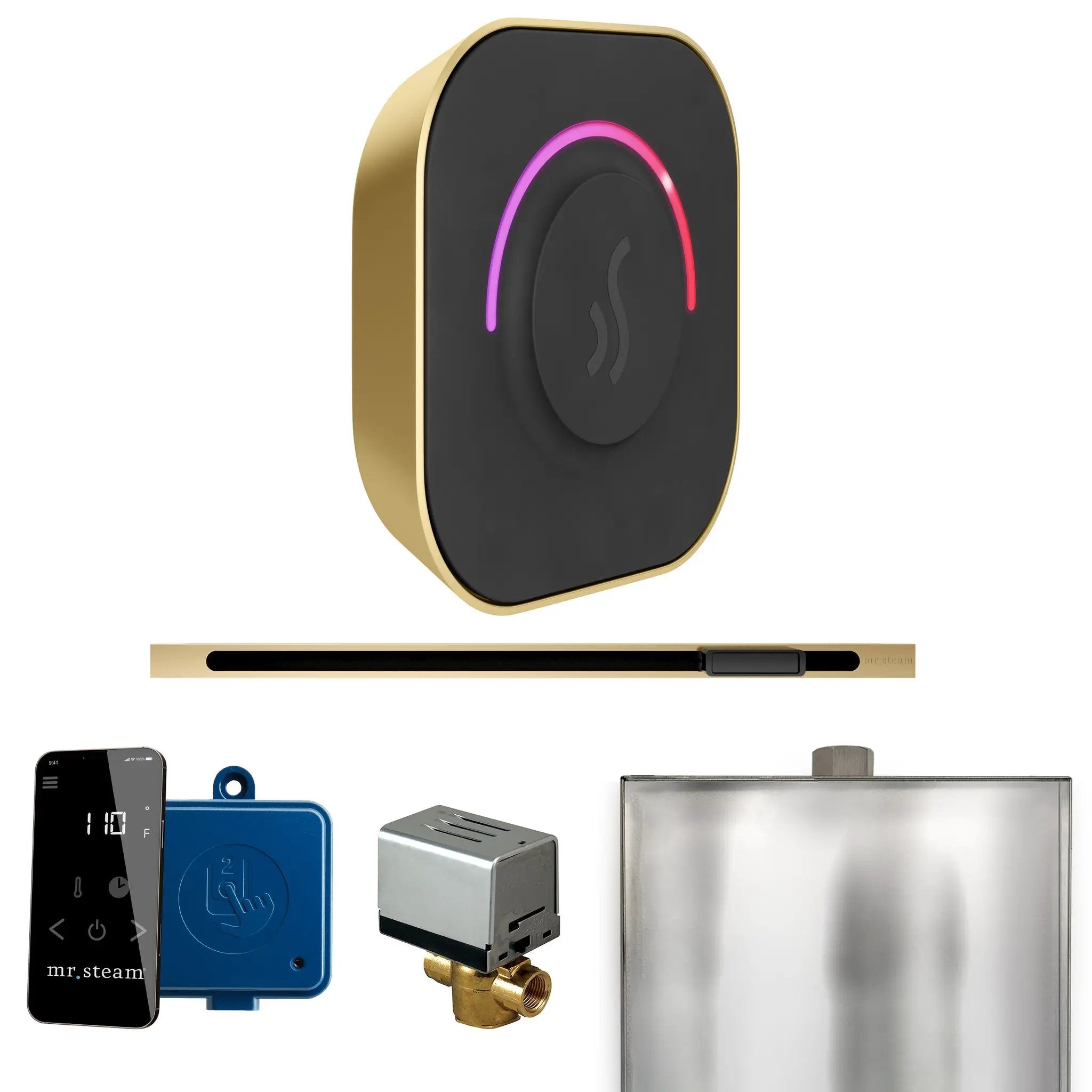 Mr Steam ButlerTouch Steam Shower Control Package with TempoTouch Control and Linear Steamhead by Mr Steam