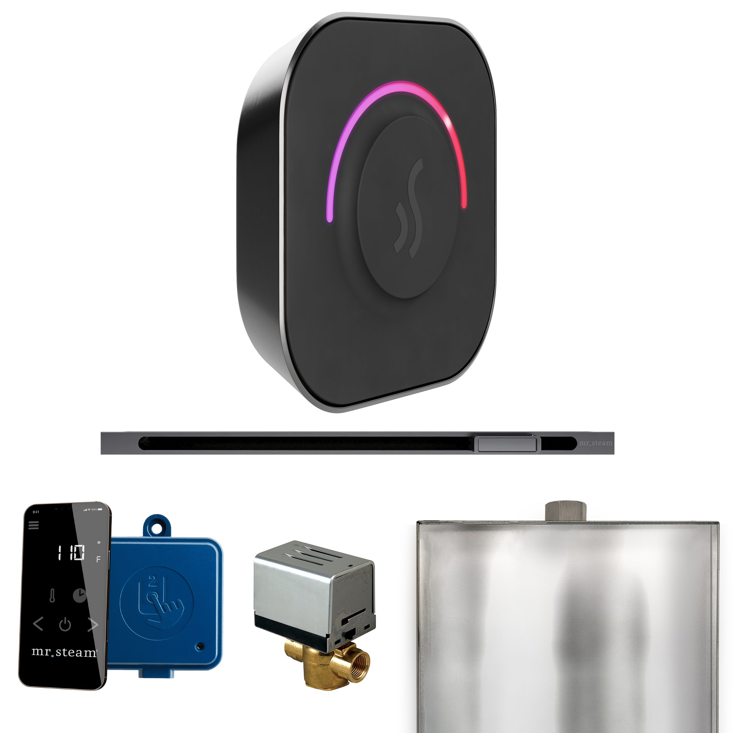 Mr Steam ButlerTouch Steam Shower Control Package with TempoTouch Control and Linear Steamhead