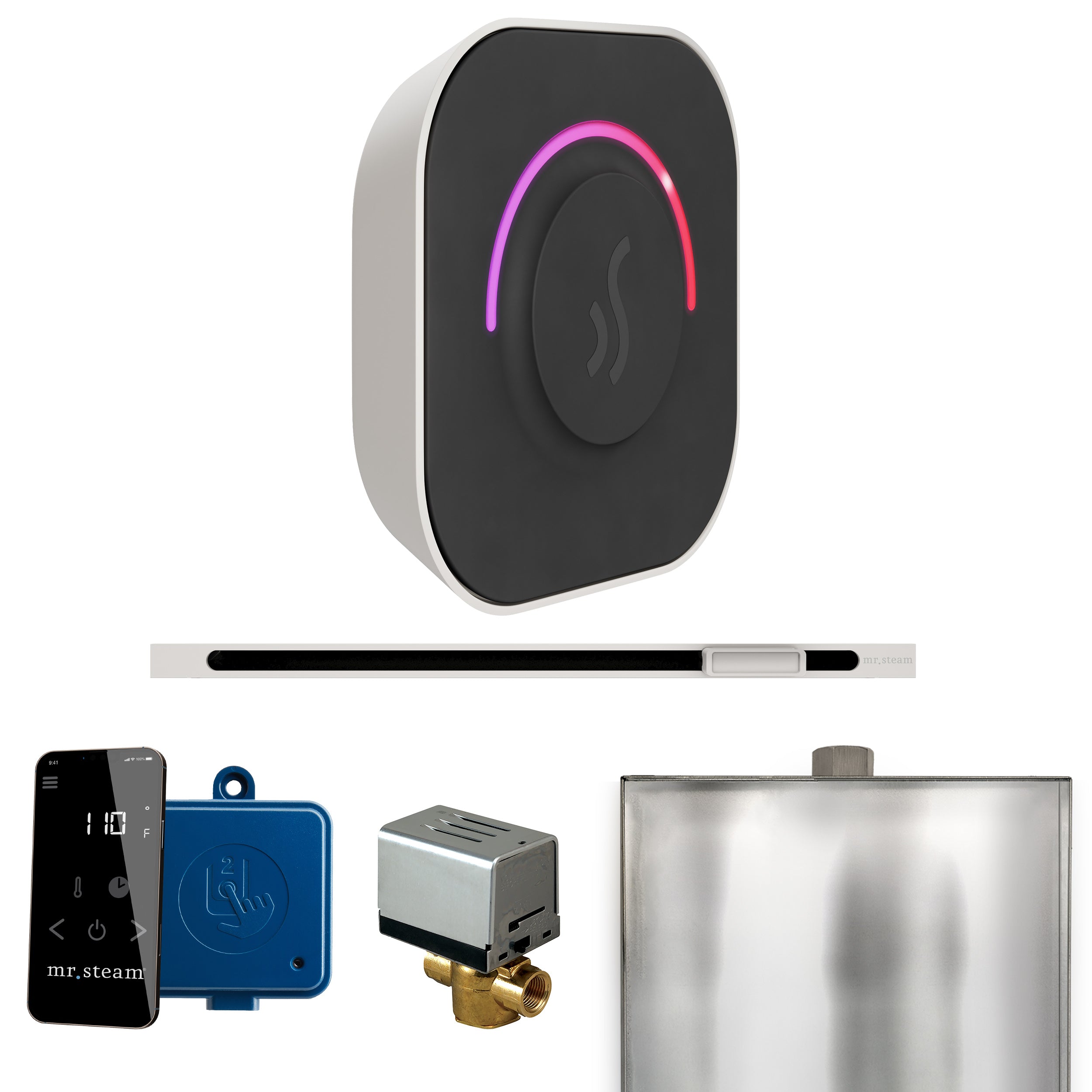 Mr Steam ButlerTouch Steam Shower Control Package with TempoTouch Control and Linear Steamhead