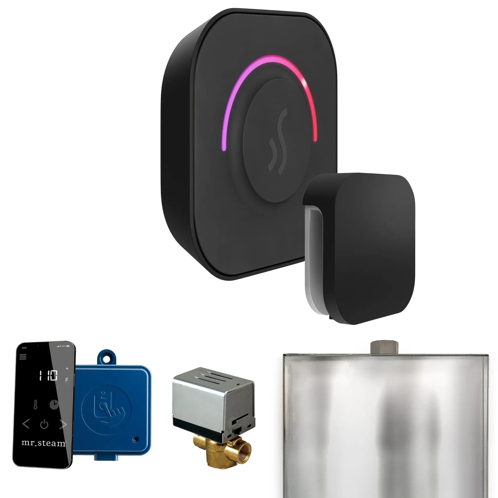 Mr Steam ButlerTouch Steam Shower Control Package with TempoTouch Control and Steamhead by Mr Steam