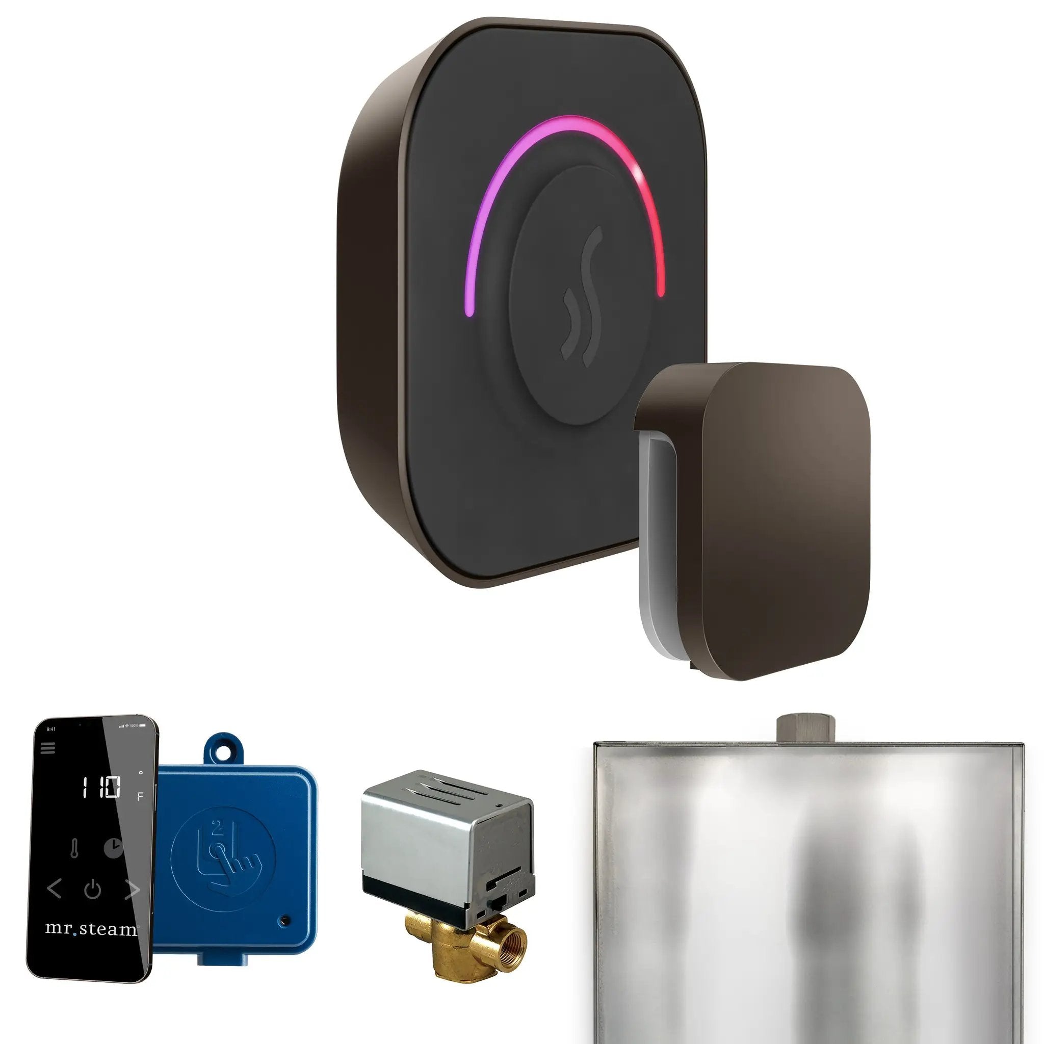 Mr Steam ButlerTouch Steam Shower Control Package with TempoTouch Control and Steamhead by Mr Steam
