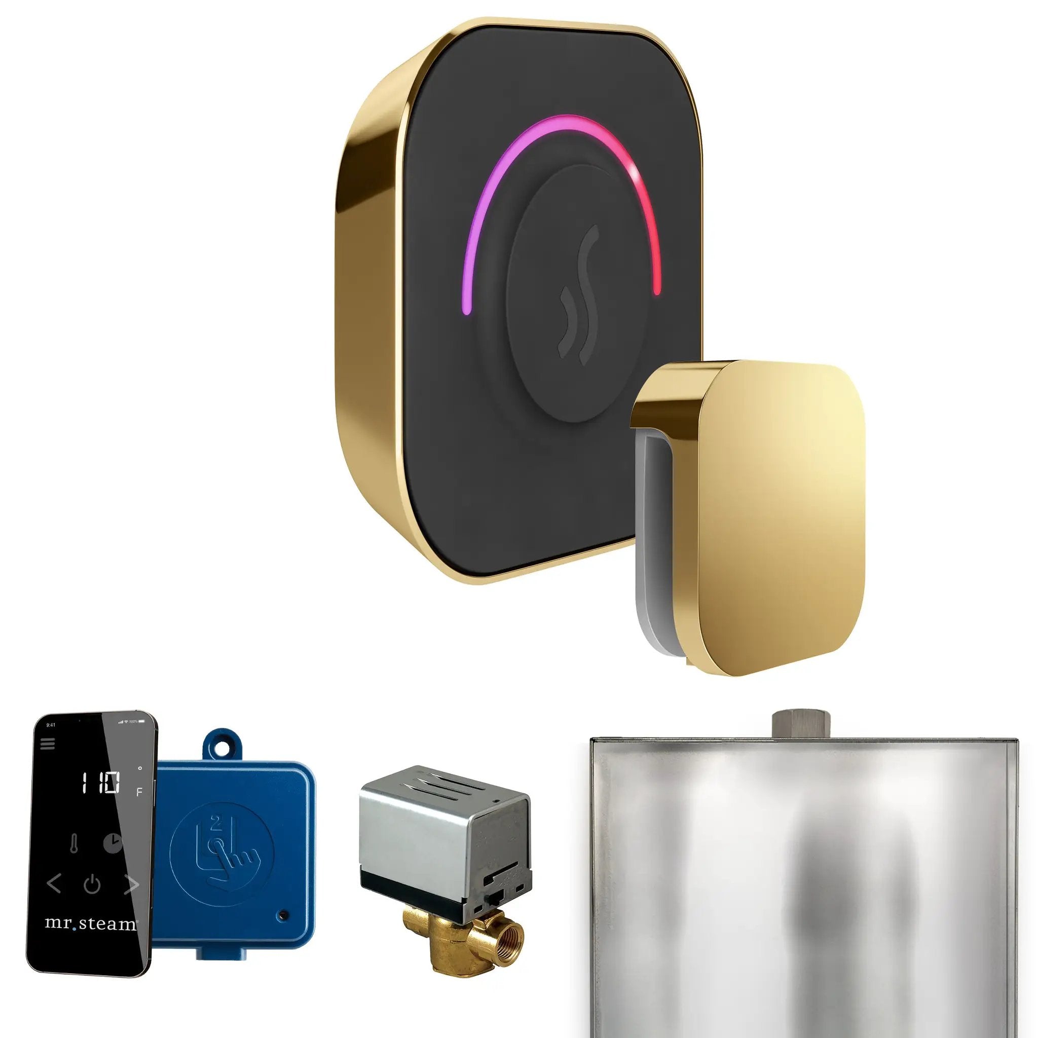 Mr Steam ButlerTouch Steam Shower Control Package with TempoTouch Control and Steamhead by Mr Steam