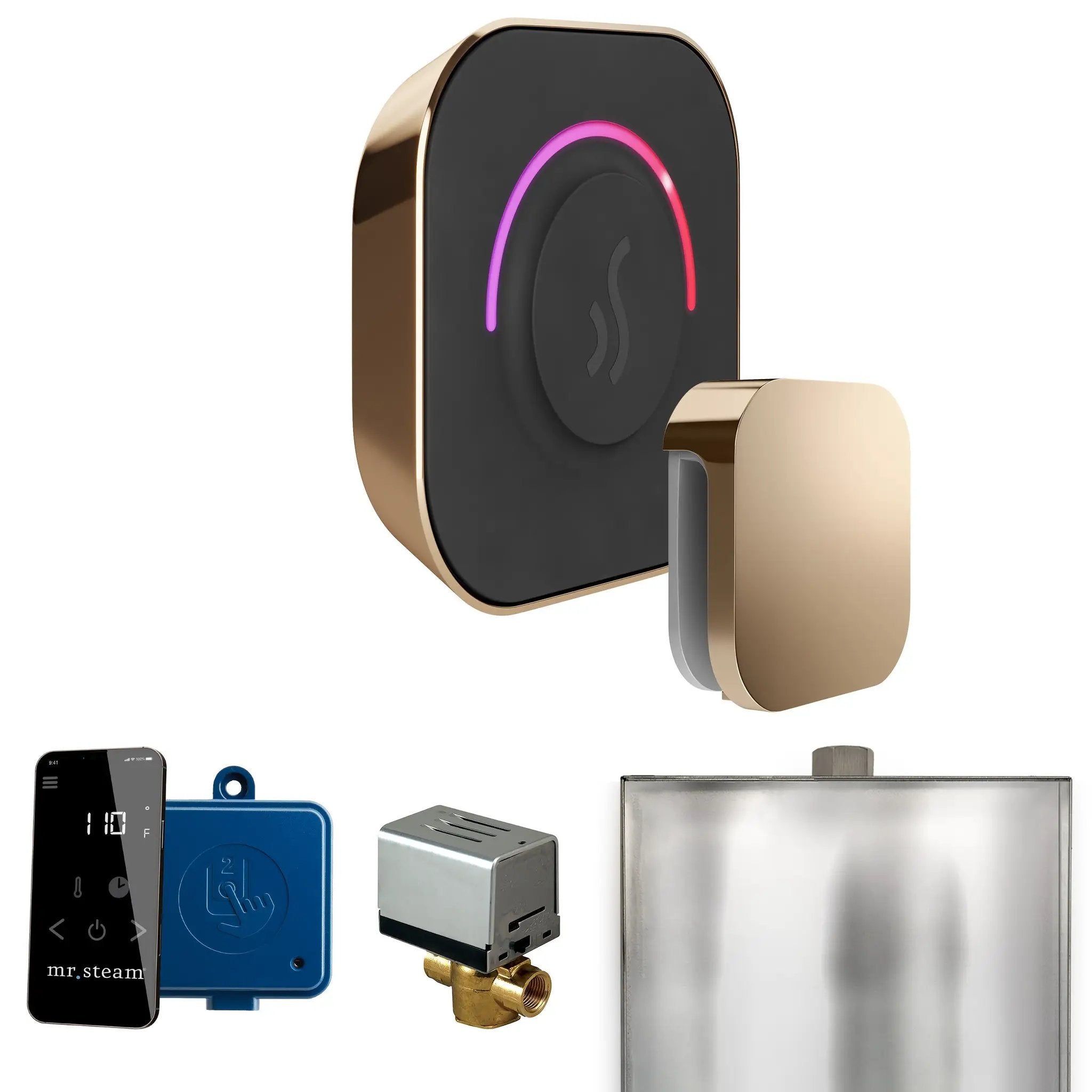 Mr Steam ButlerTouch Steam Shower Control Package with TempoTouch Control and Steamhead by Mr Steam