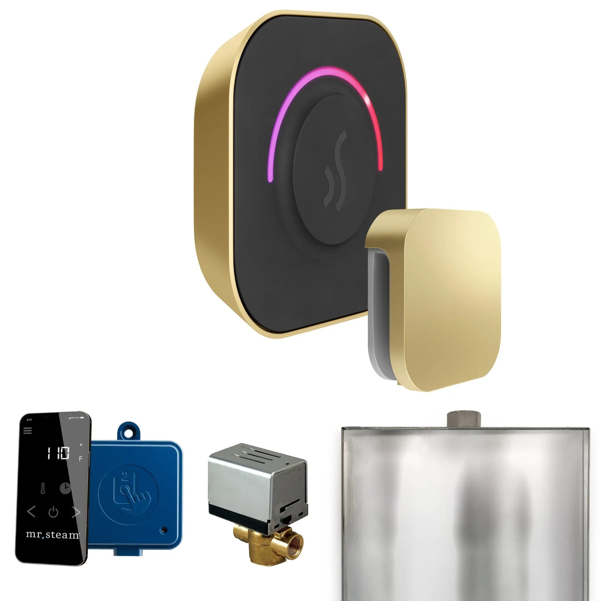 Mr Steam ButlerTouch Steam Shower Control Package with TempoTouch Control and Steamhead by Mr Steam
