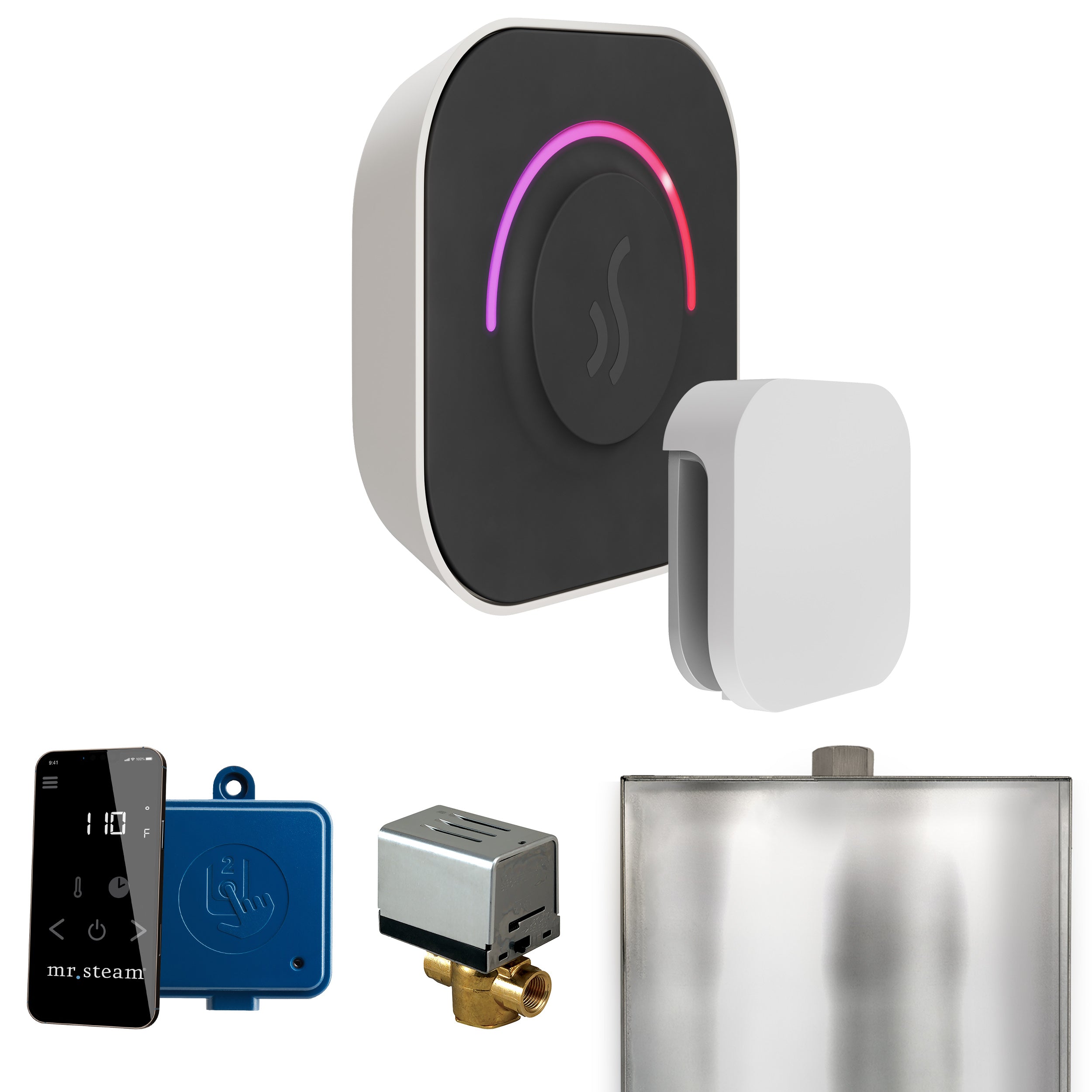 Mr Steam ButlerTouch Steam Shower Control Package with TempoTouch Control and Steamhead