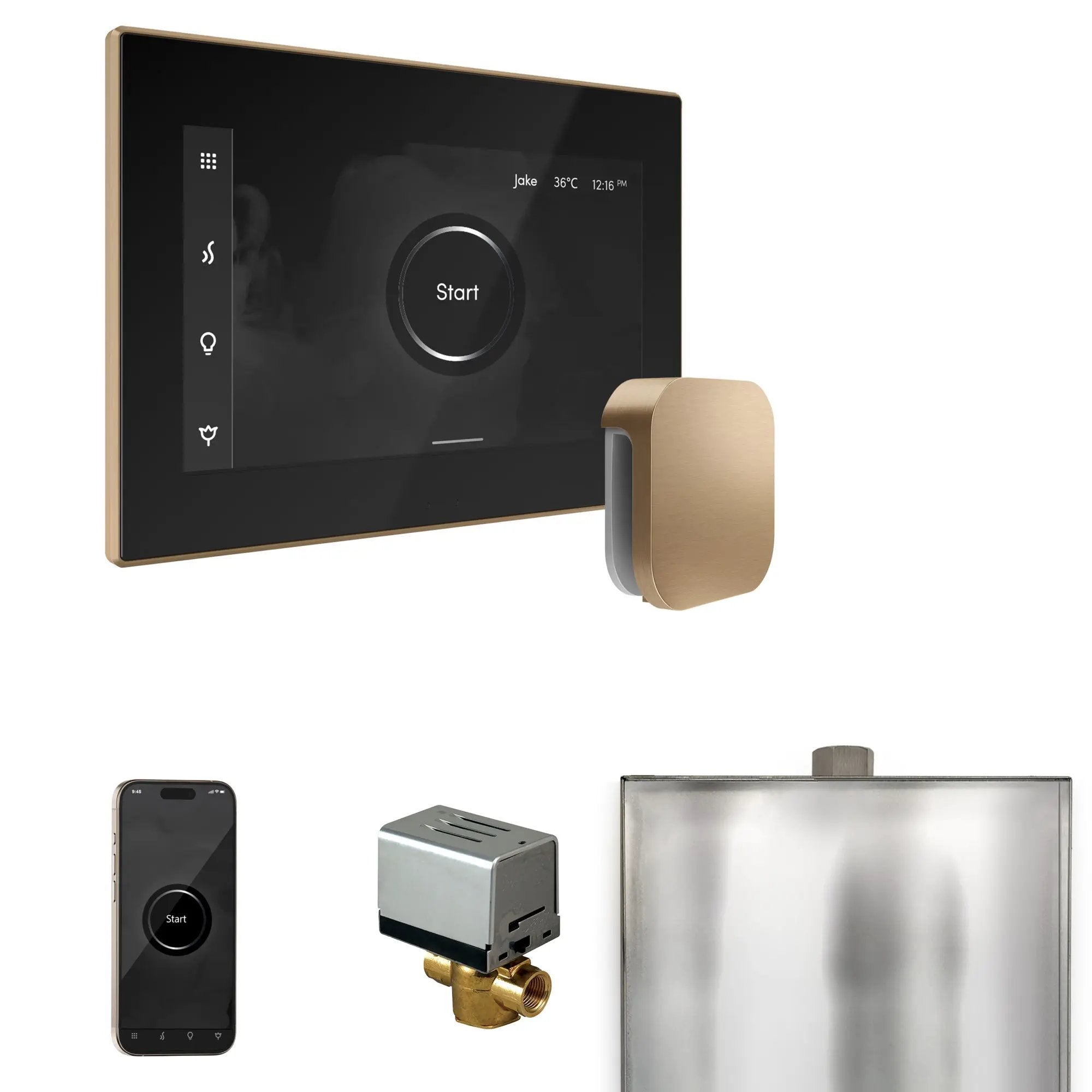 Mr Steam XButler Steam Shower Control Package with iSteamX Control and Steamhead by Mr Steam