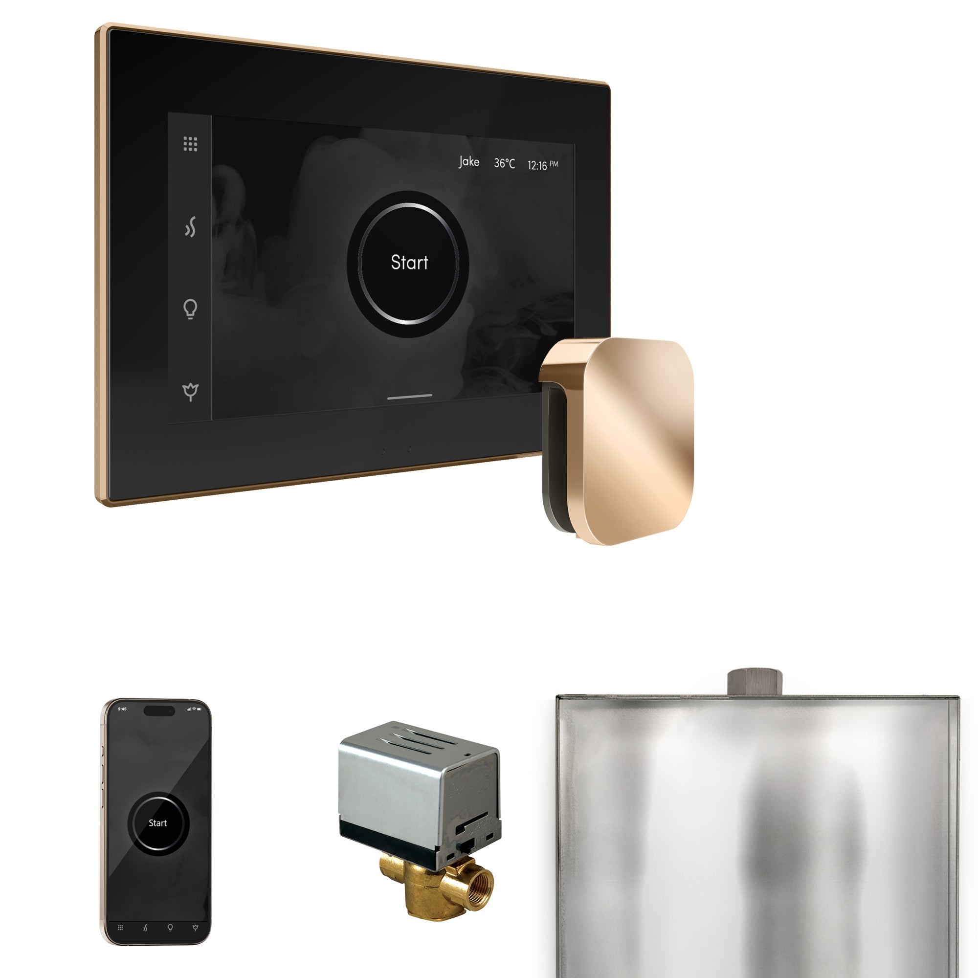 Mr Steam XButler Steam Shower Control Package with iSteamX Control and Steamhead by Mr Steam