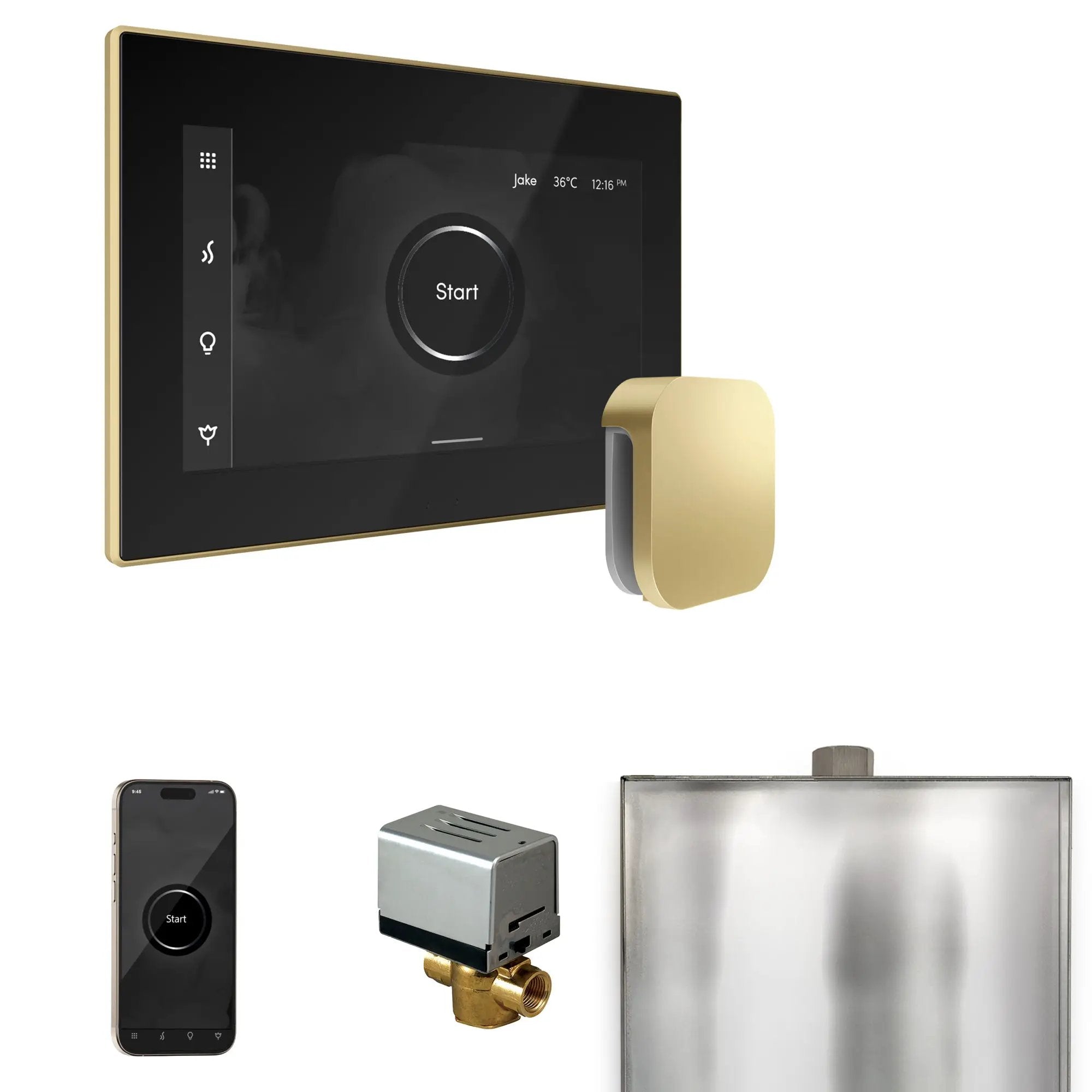 Mr Steam XButler Steam Shower Control Package with iSteamX Control and Steamhead by Mr Steam