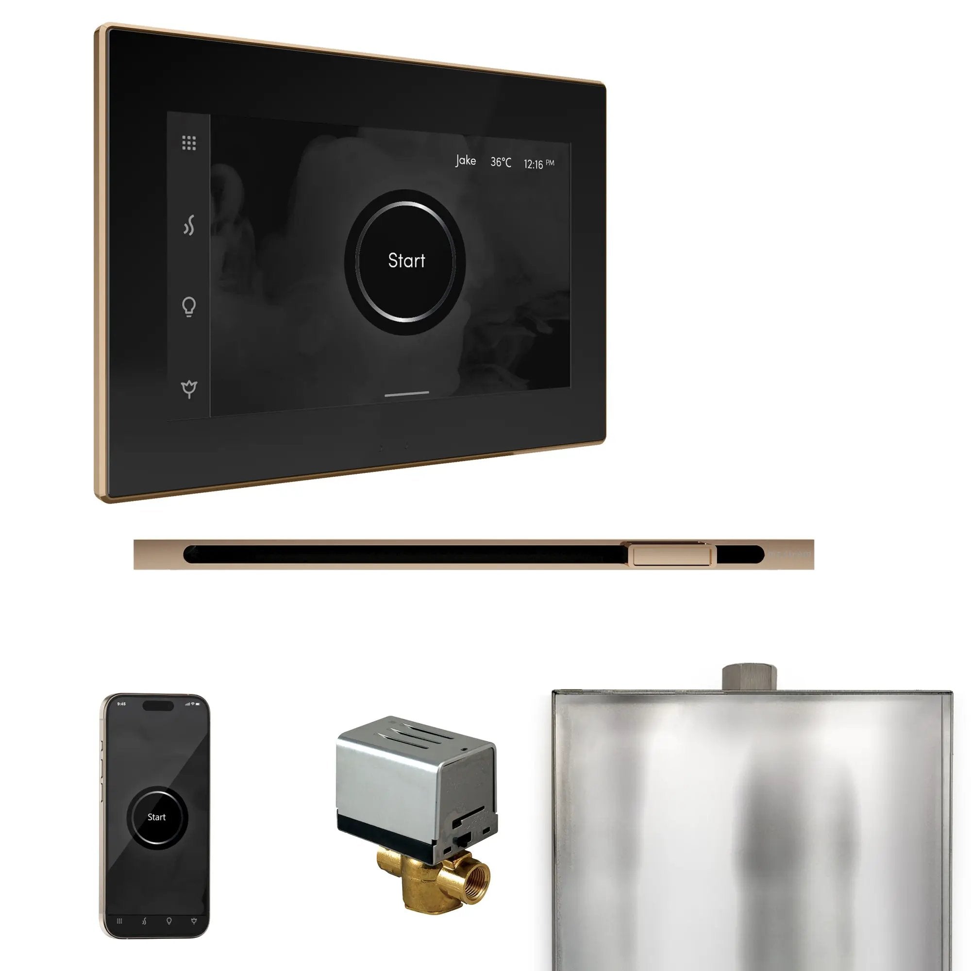 Mr Steam XButler Steam Shower Control Package with iSteamX Control and Linear Steamhead by Mr Steam