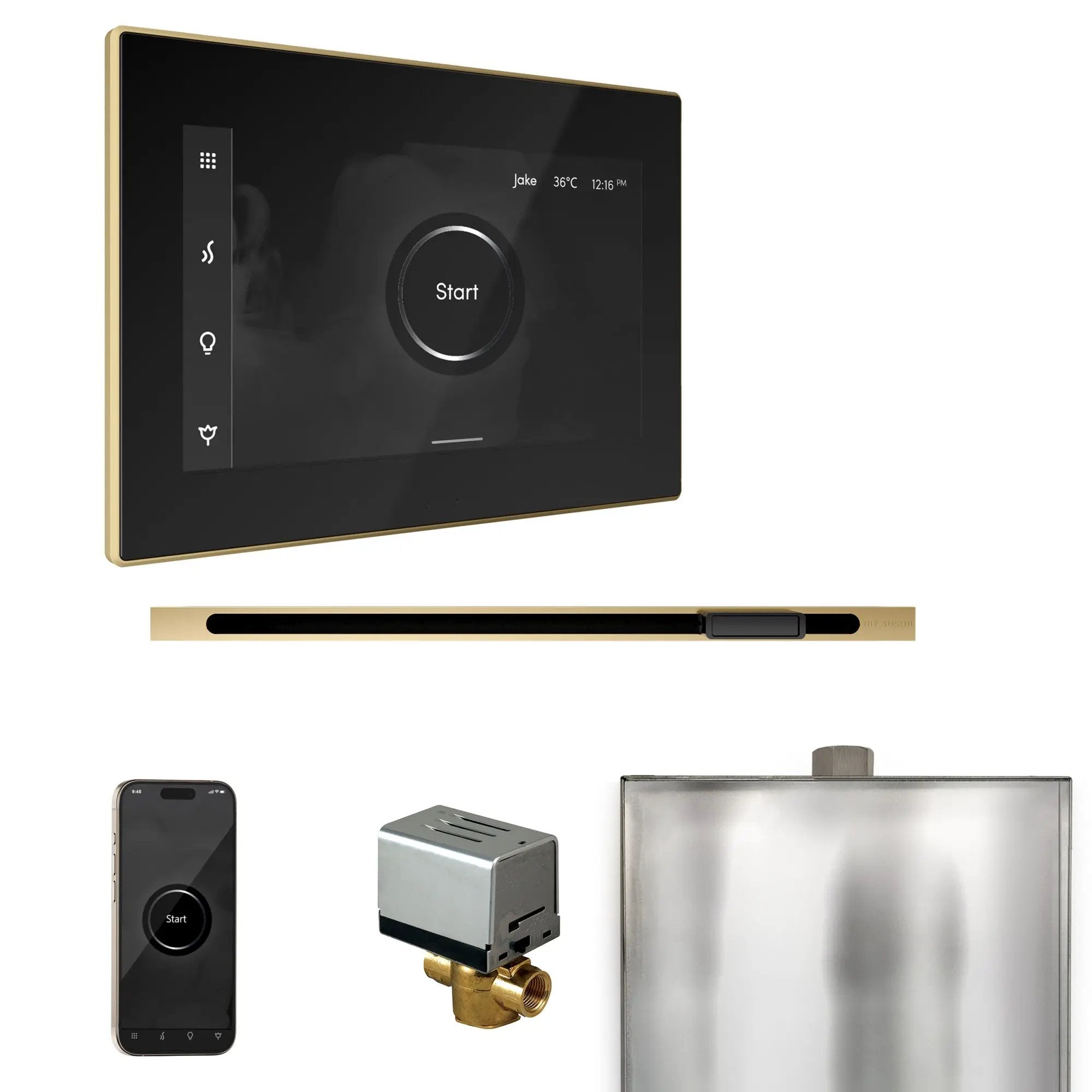 Mr Steam XButler Steam Shower Control Package with iSteamX Control and Linear Steamhead by Mr Steam