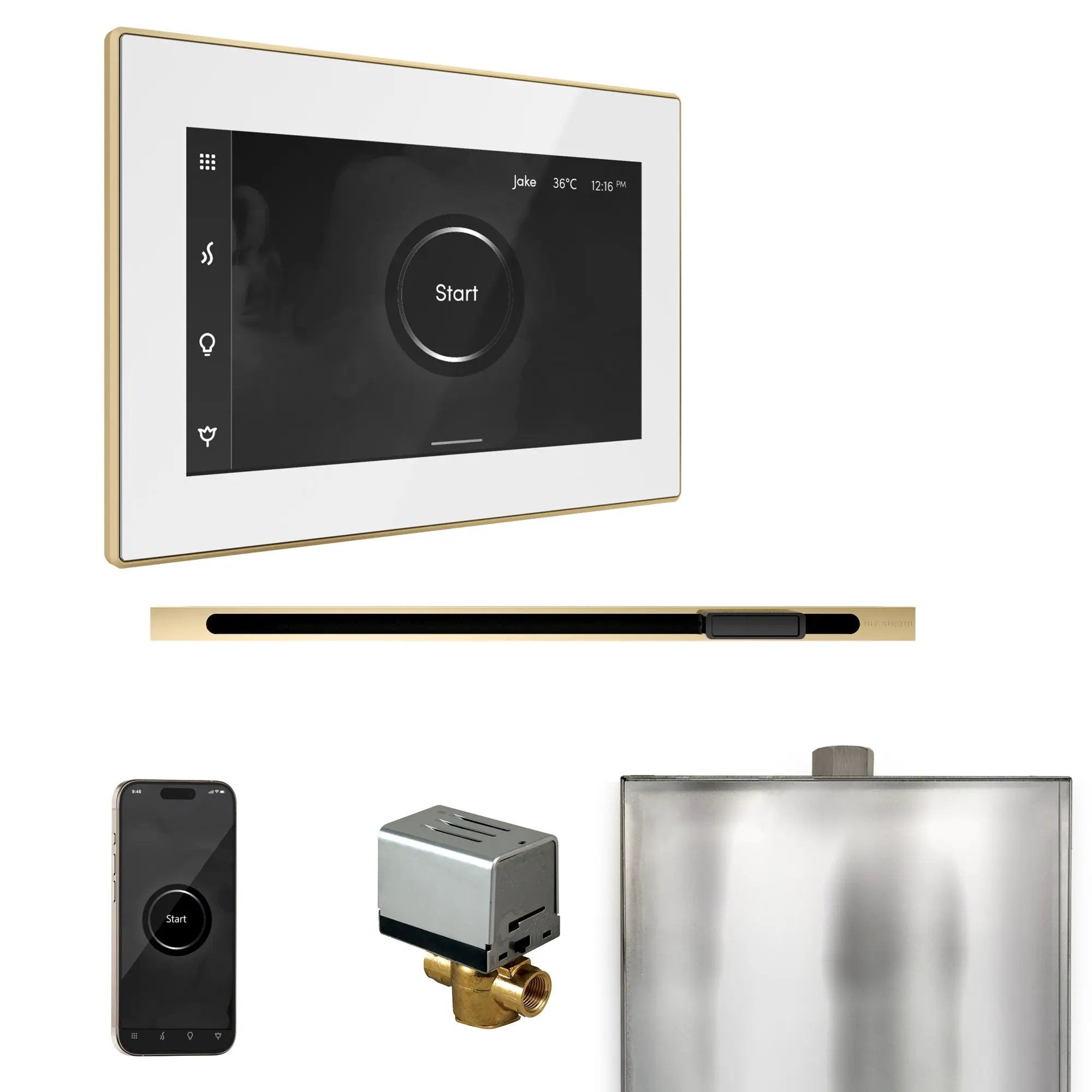 Mr Steam XButler Steam Shower Control Package with iSteamX Control and Linear Steamhead by Mr Steam