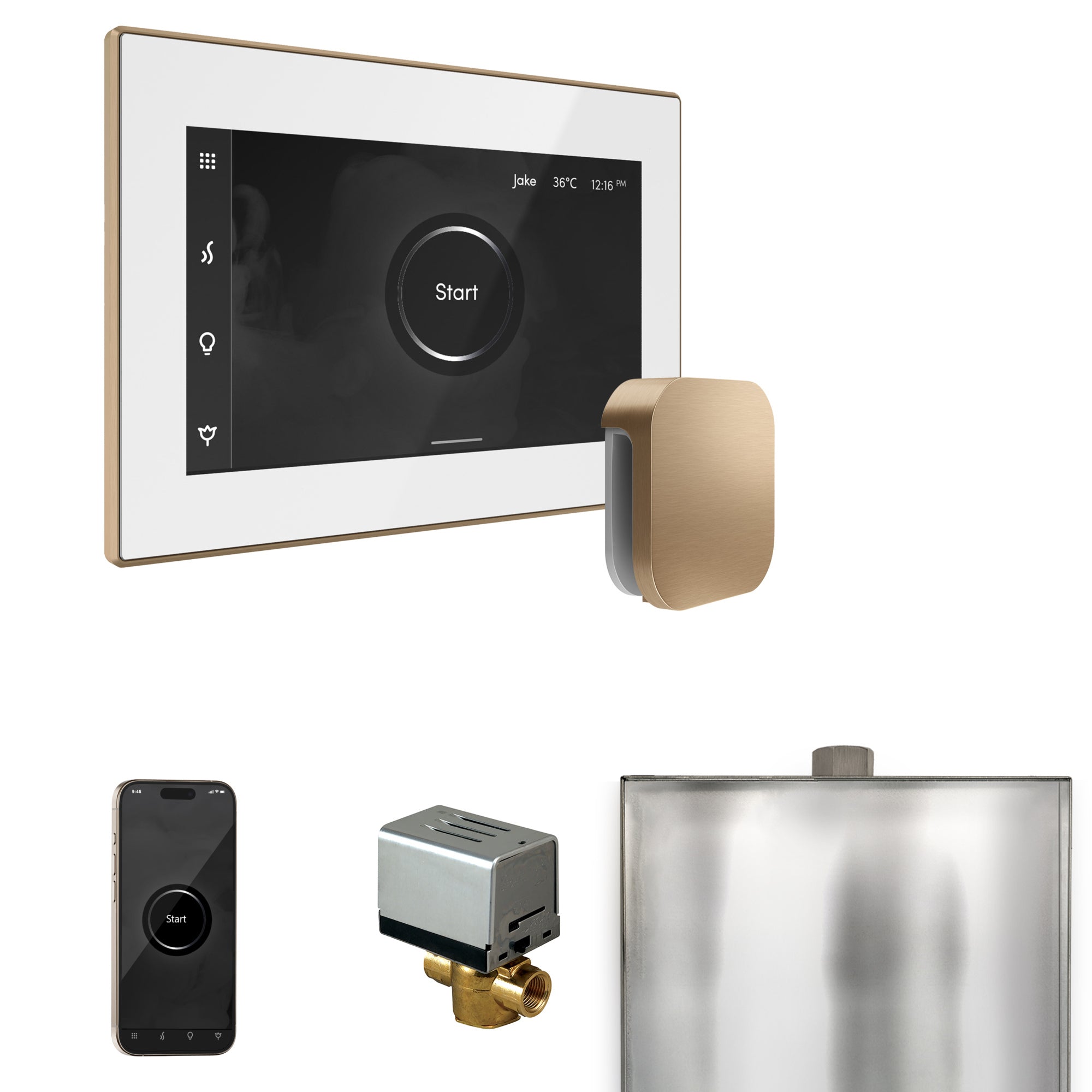 Mr Steam XButler Steam Shower Control Package with iSteamX Control and Steamhead