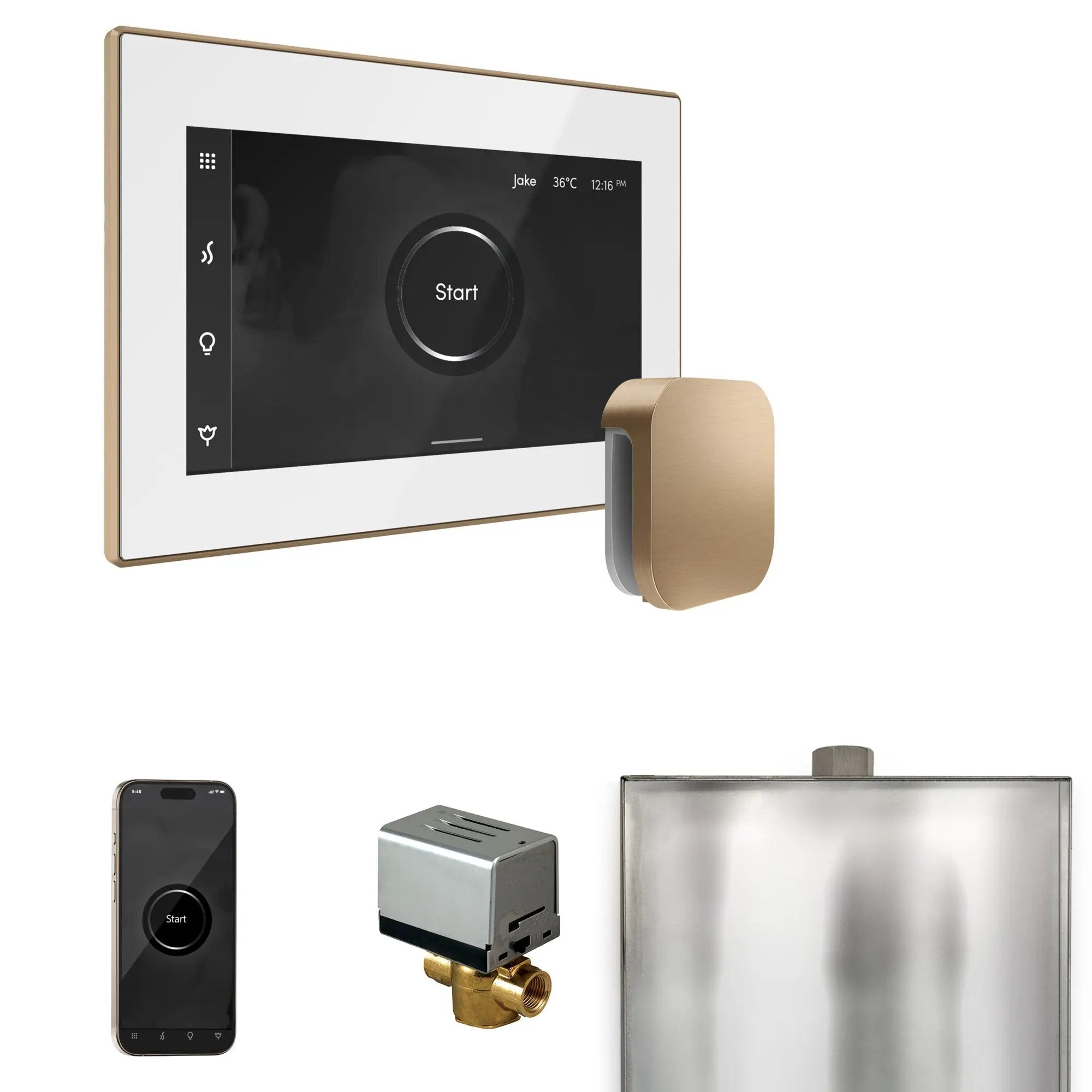 Mr Steam XButler Steam Shower Control Package with iSteamX Control and Steamhead by Mr Steam