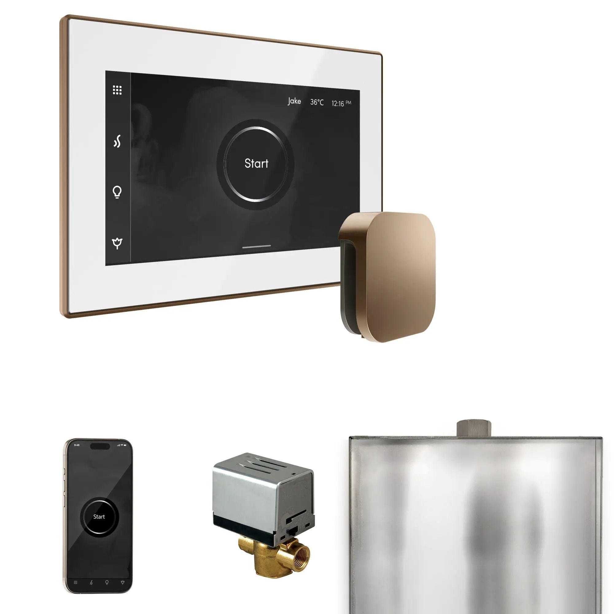 Mr Steam XButler Steam Shower Control Package with iSteamX Control and Steamhead by Mr Steam
