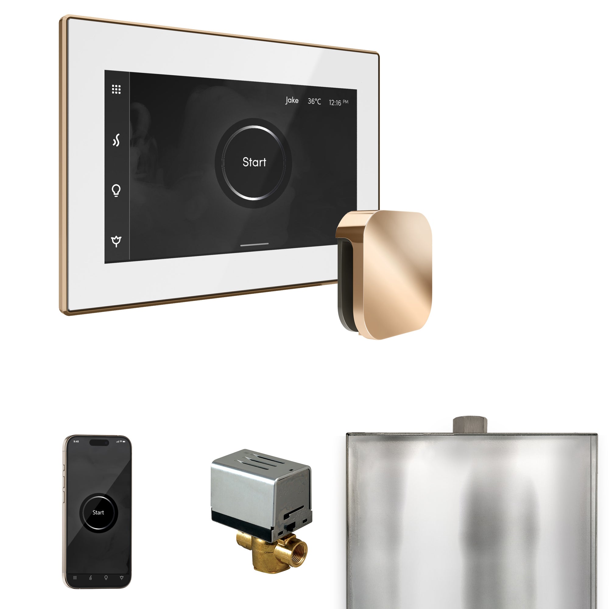 Mr Steam XButler Steam Shower Control Package with iSteamX Control and Steamhead by Mr Steam