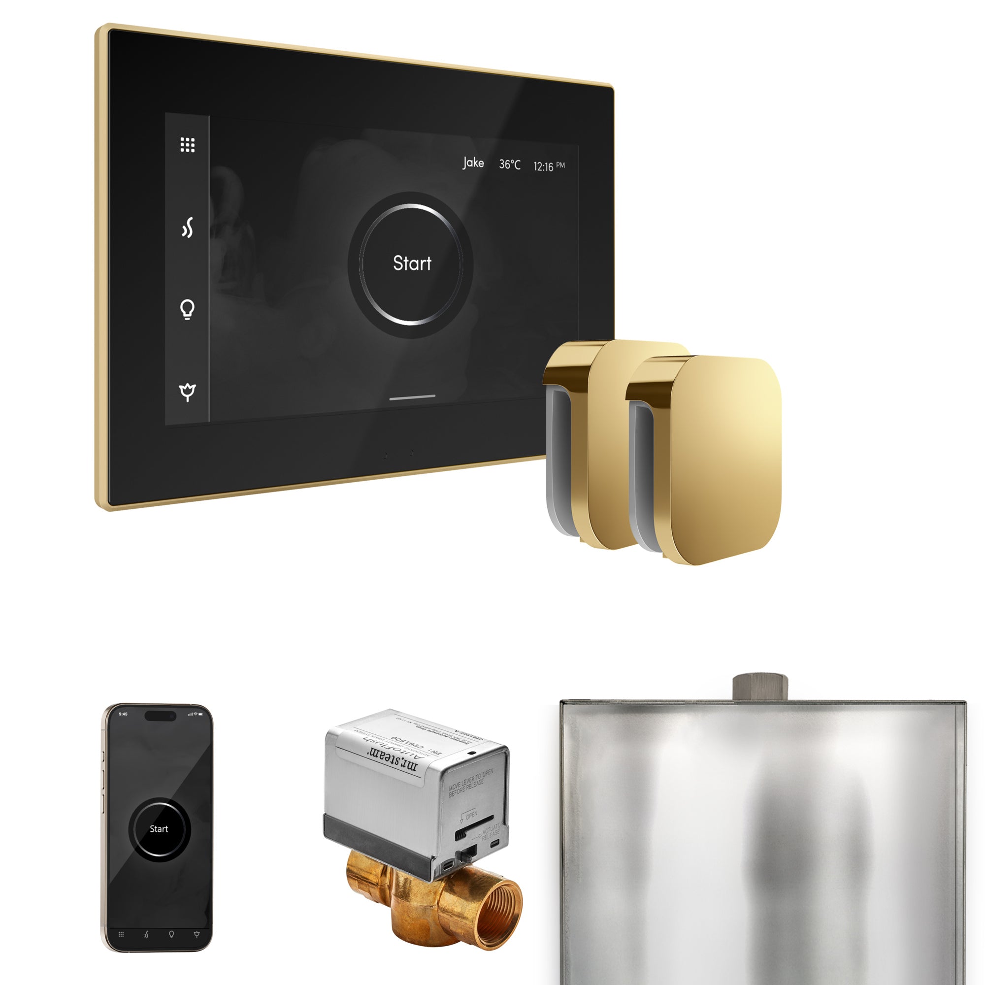 Mr Steam XButler Max Steam Shower Control Package with iSteamX Control and Steamhead