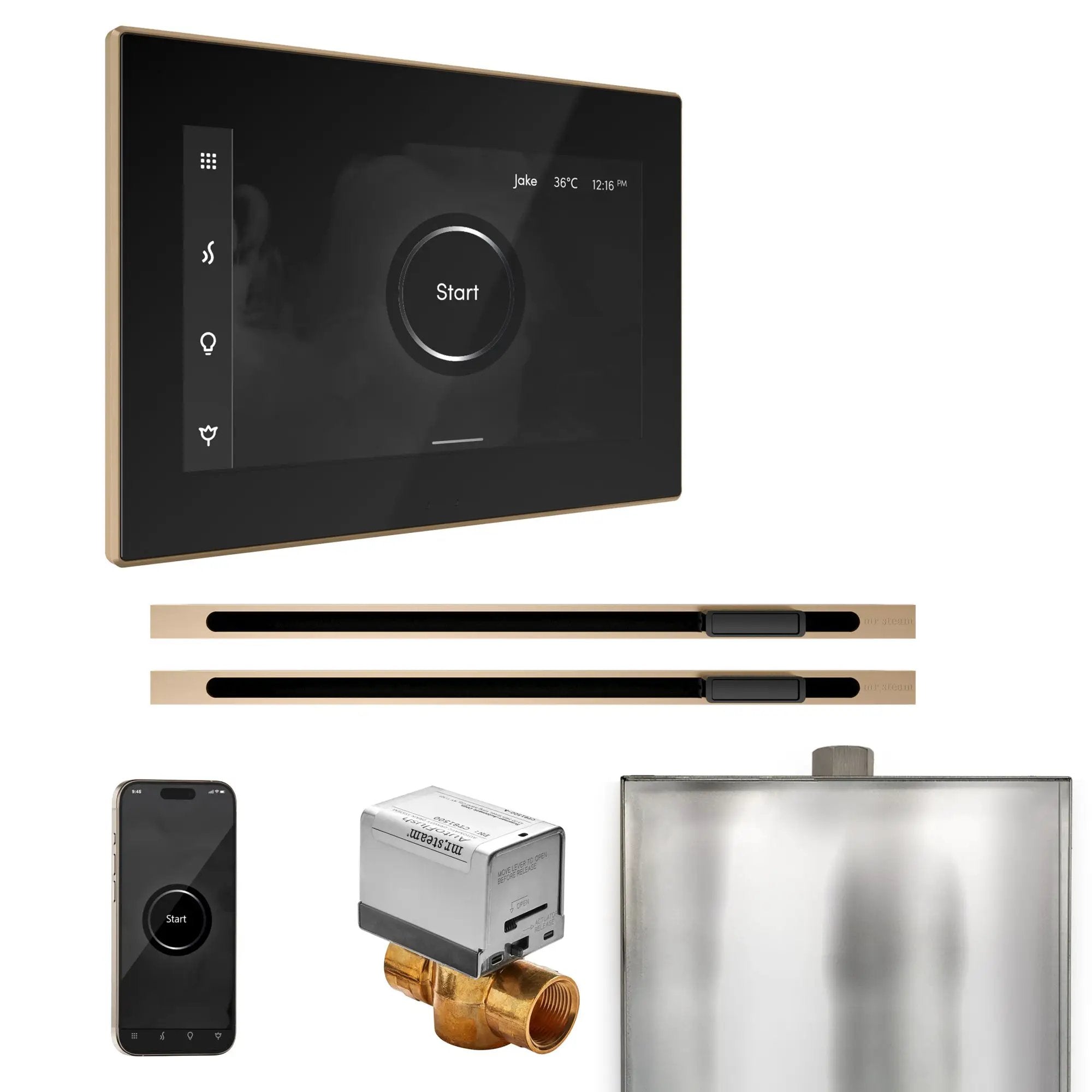 Mr Steam XButler Max Steam Shower Control Package with iSteamX Control and Linear Steamhead by Mr Steam