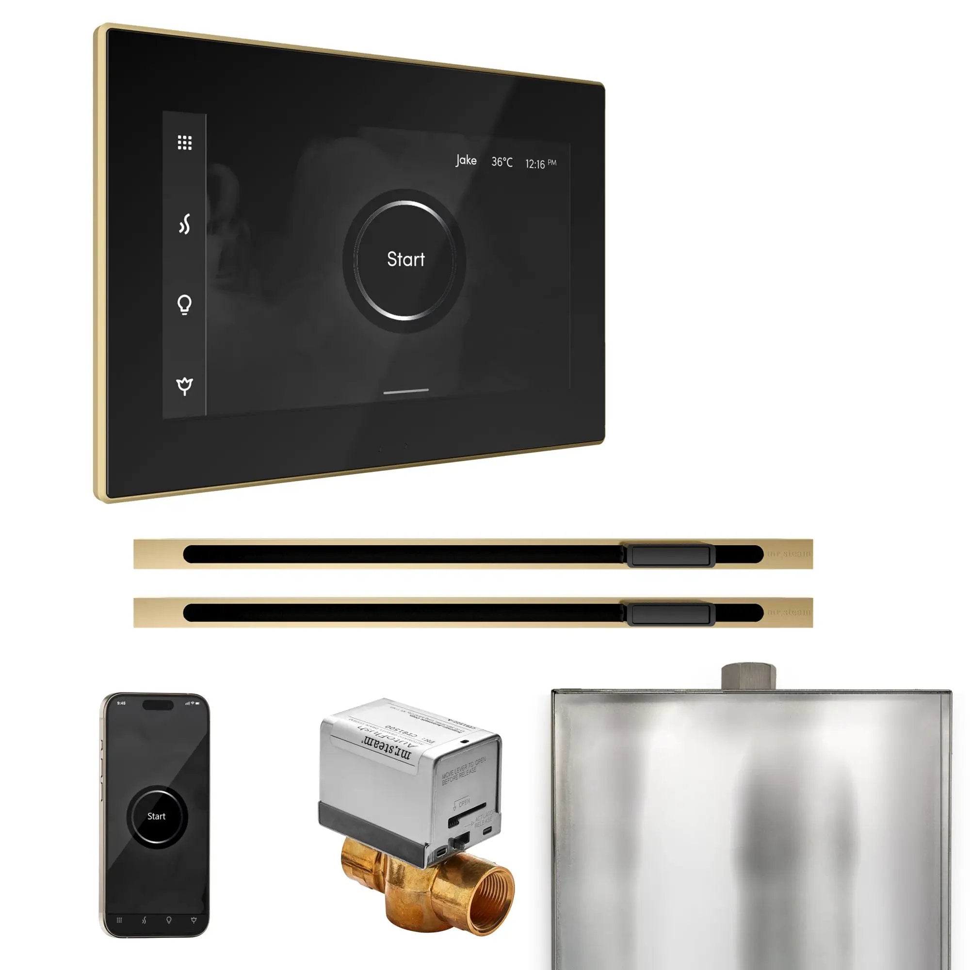Mr Steam XButler Max Steam Shower Control Package with iSteamX Control and Linear Steamhead by Mr Steam