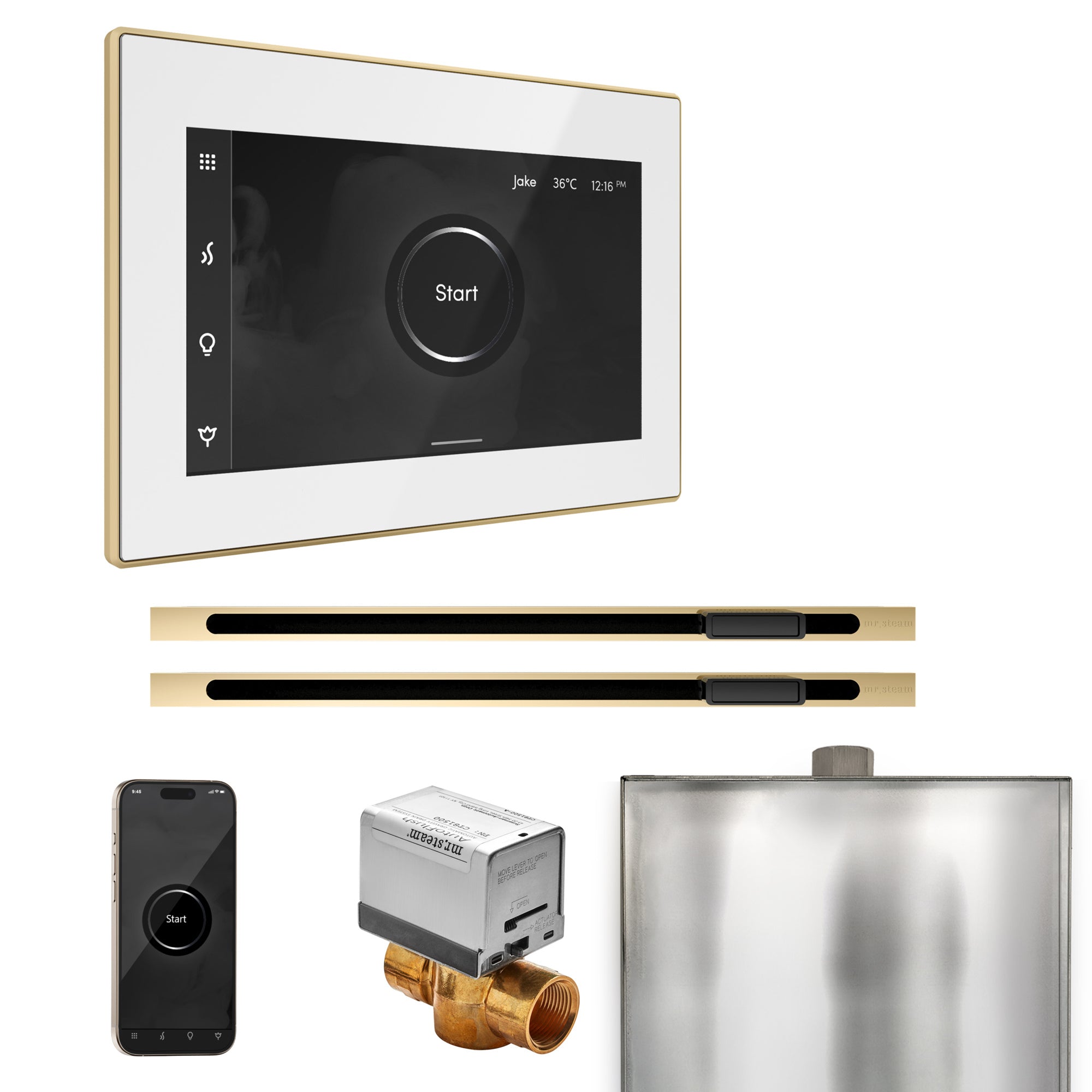 Mr Steam XButler Max Steam Shower Control Package with iSteamX Control and Linear Steamhead by Mr Steam