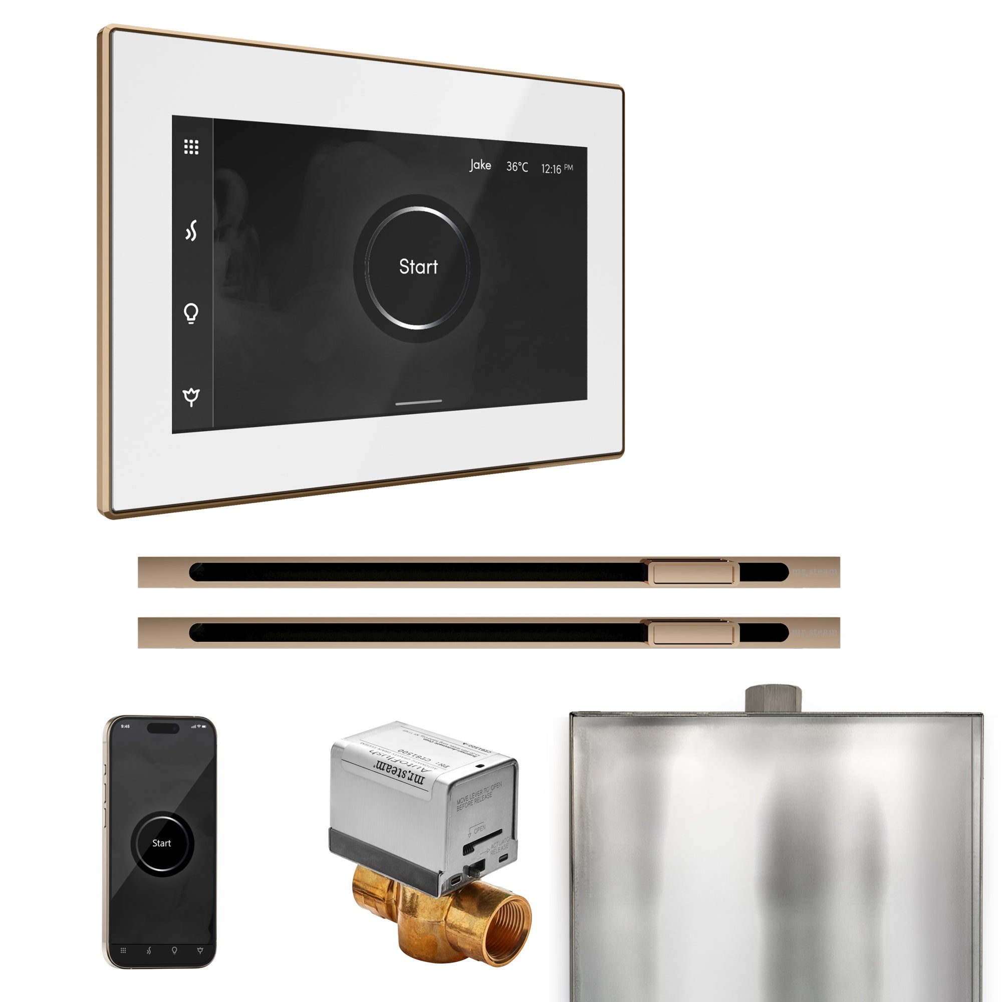 Mr Steam XButler Max Steam Shower Control Package with iSteamX Control and Linear Steamhead by Mr Steam