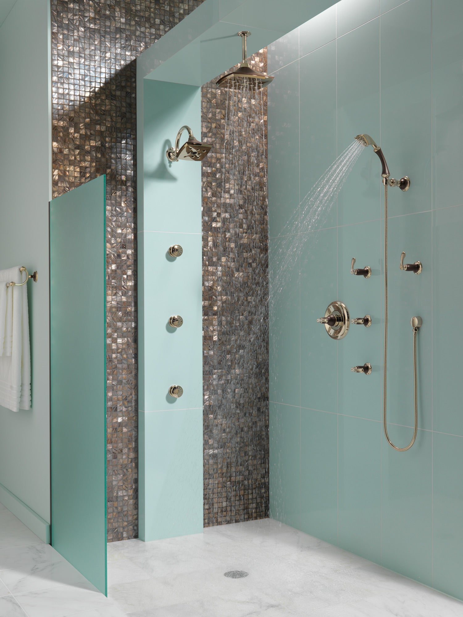 cocoa bronze / polished nickel showerhead